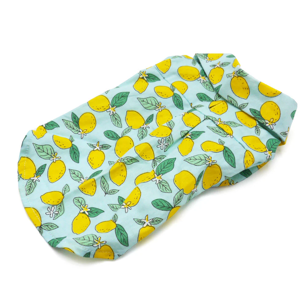 Blue Lemon Shirt - Image 5