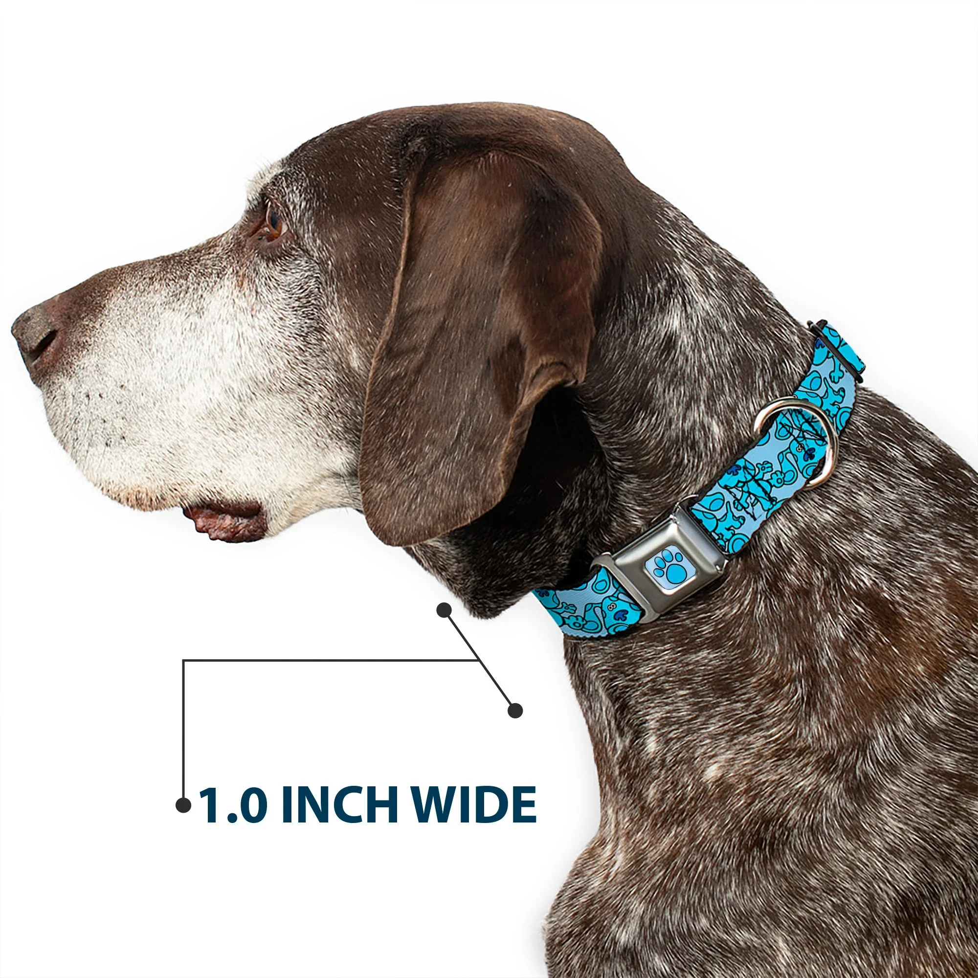 Blue's Clues Paw Full Color Blues Seatbelt Buckle Collar - Blue's Clues Blue Poses Scattered Blues - Image 6