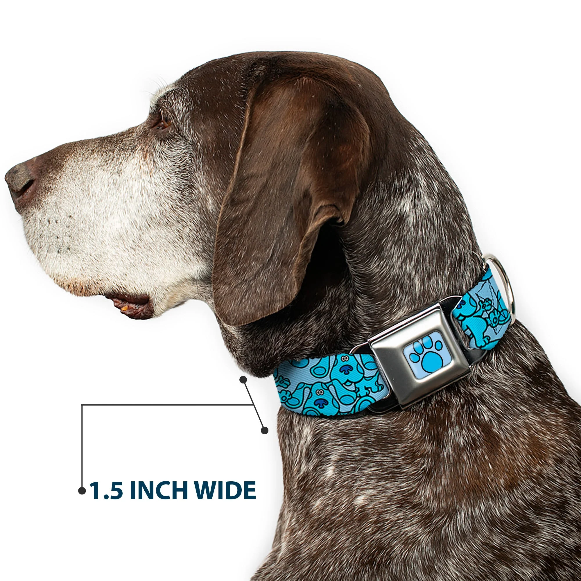 Blue's Clues Paw Full Color Blues Seatbelt Buckle Collar - Blue's Clues Blue Poses Scattered Blues - Image 7