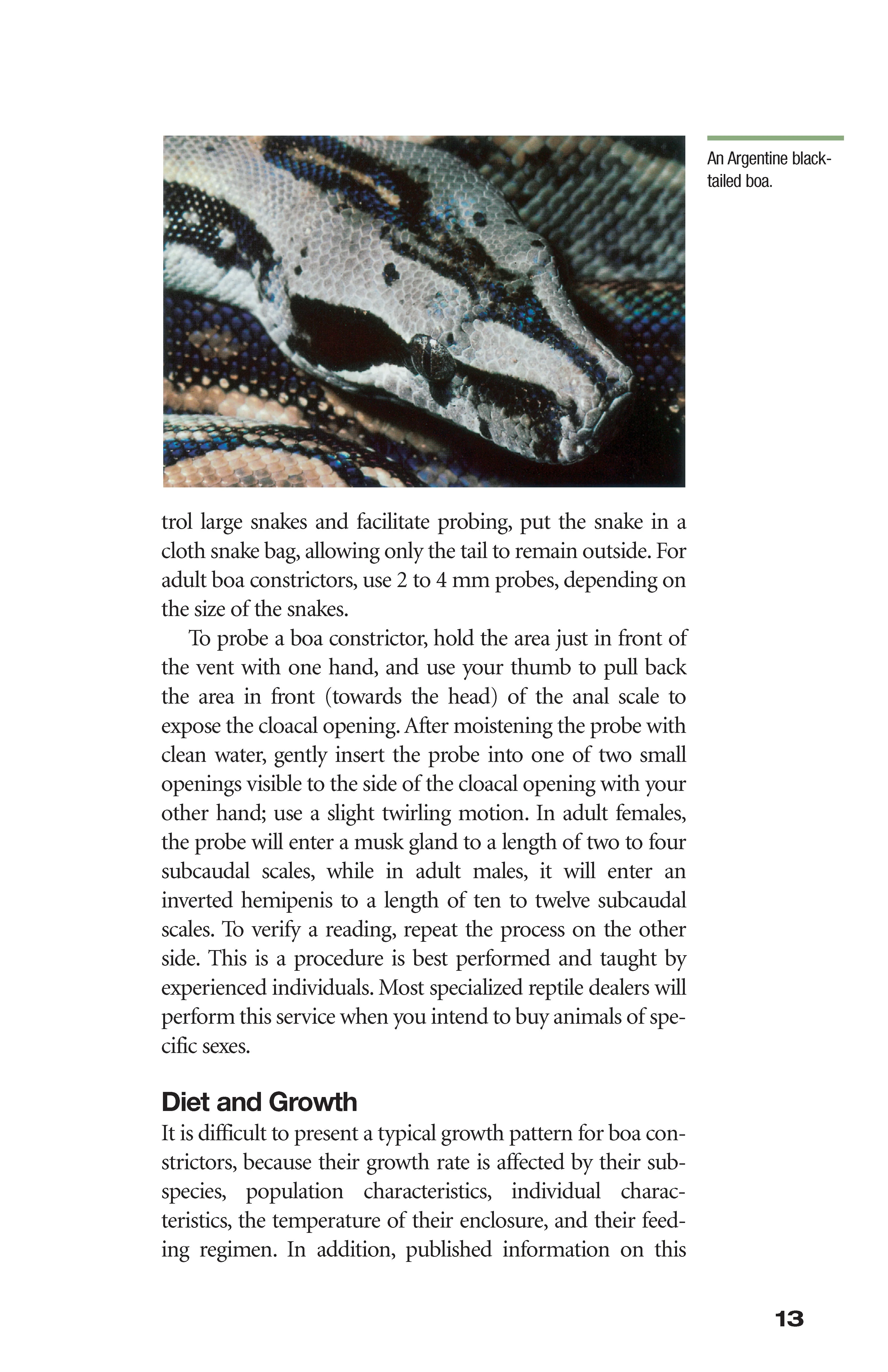 Boa Constrictor Manual - Image 2