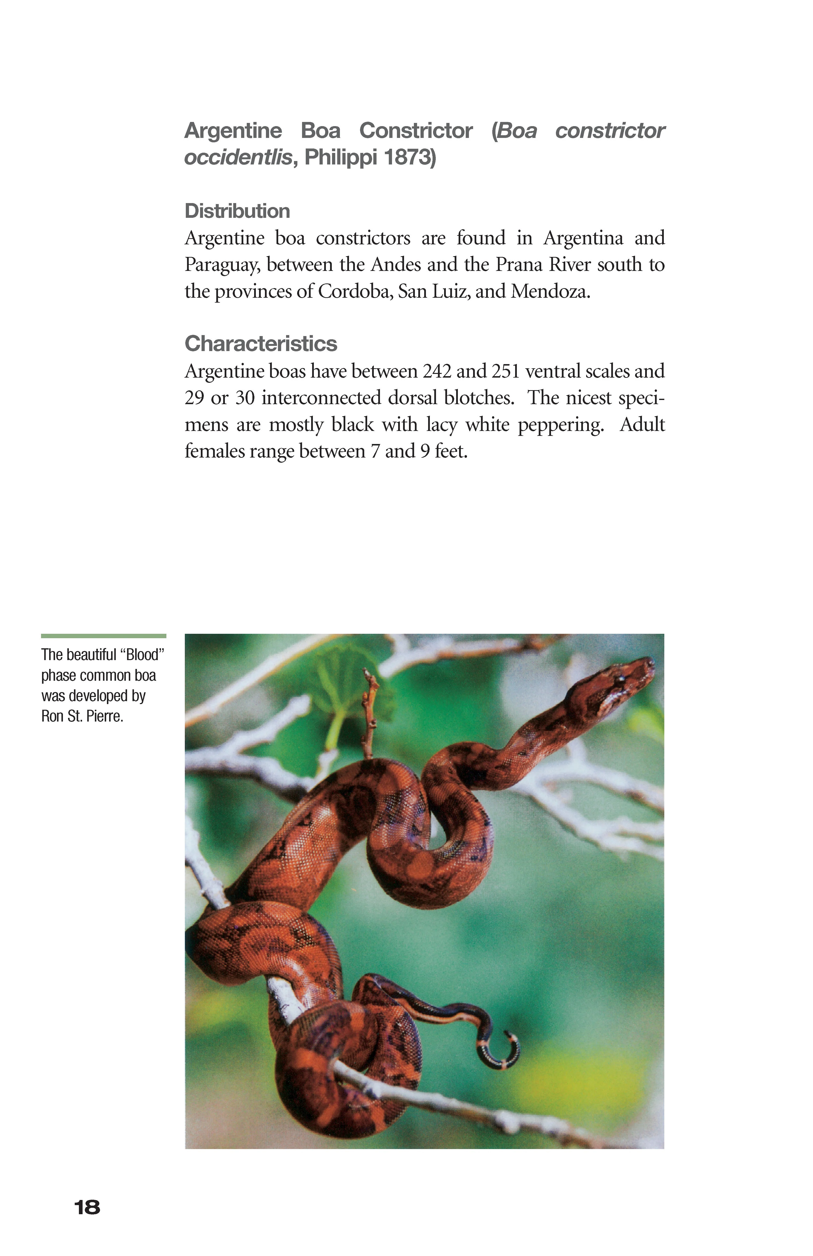 Boa Constrictor Manual - Image 3