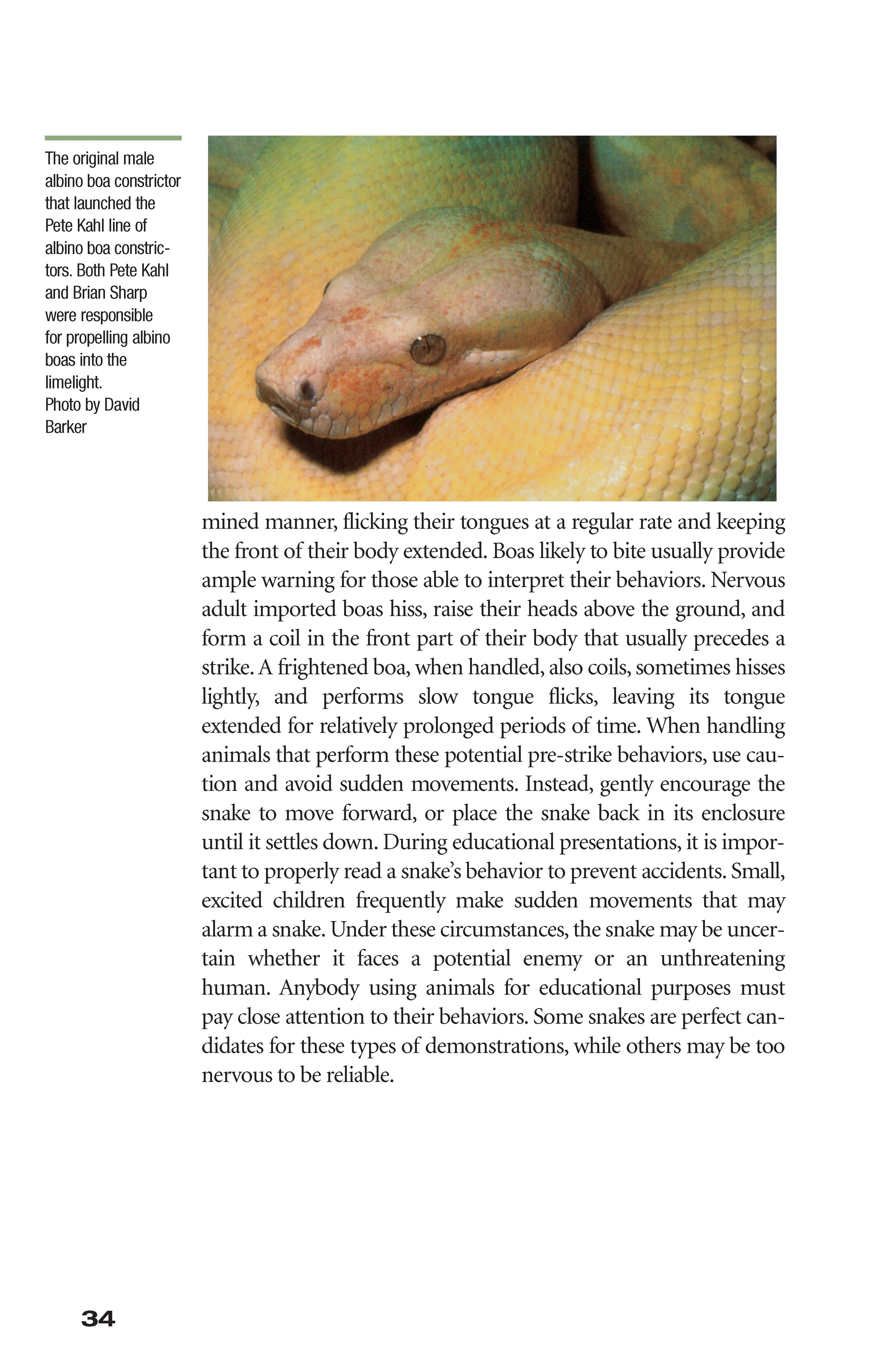 Boa Constrictor Manual - Image 4