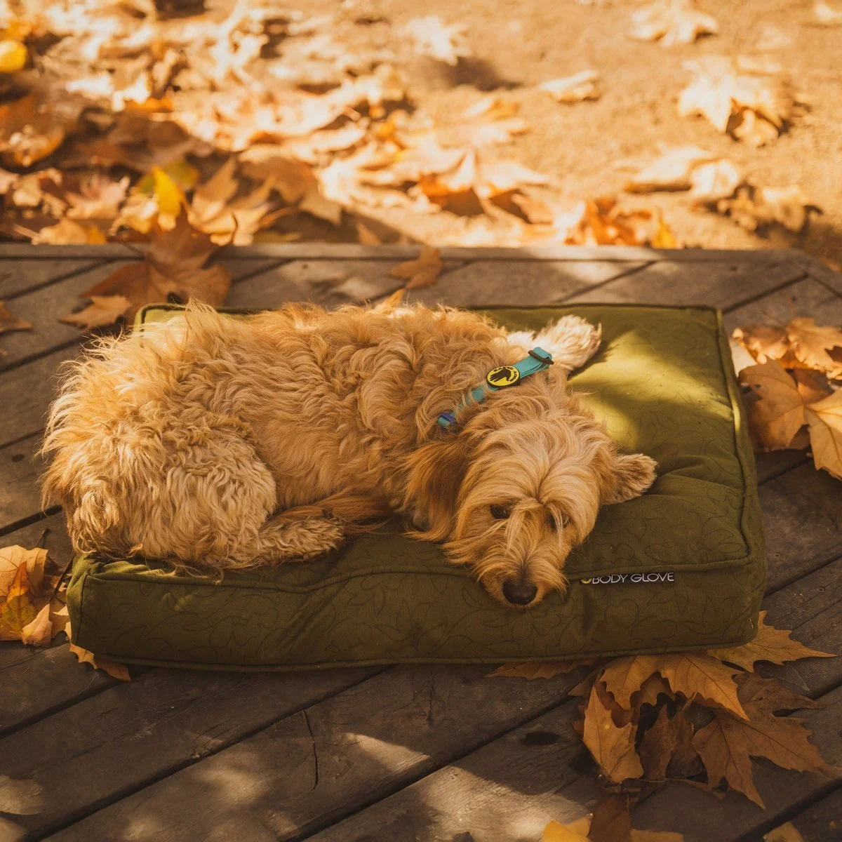 Body Glove Paintflower Pet Napper - Pet Bed