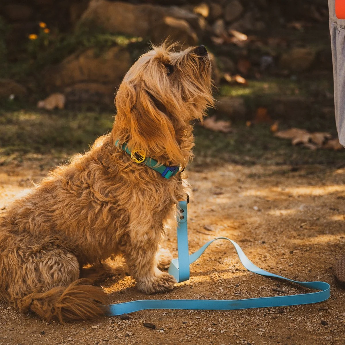 Body Glove Waterproof Leash - Image 2
