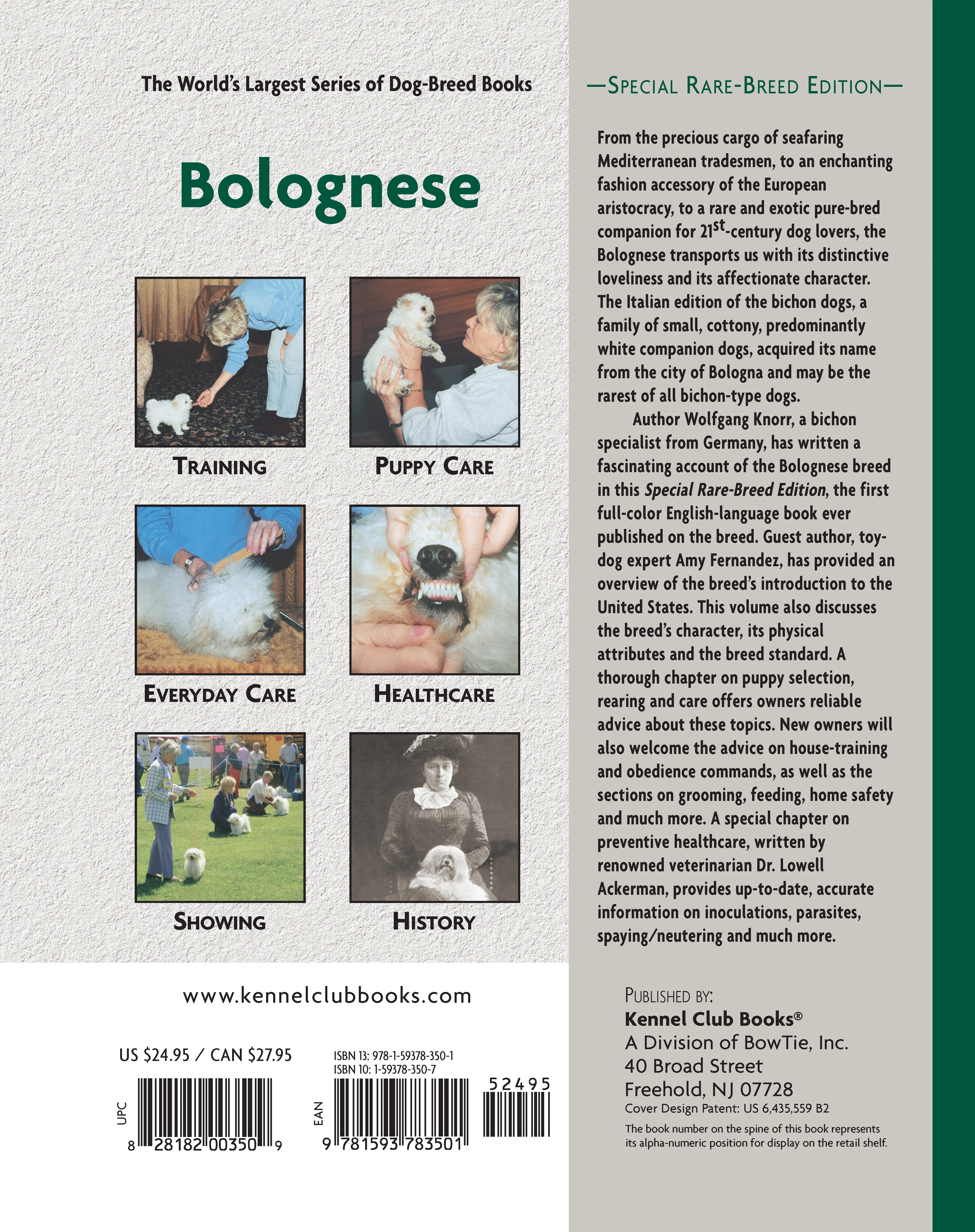 Bolognese - Image 9