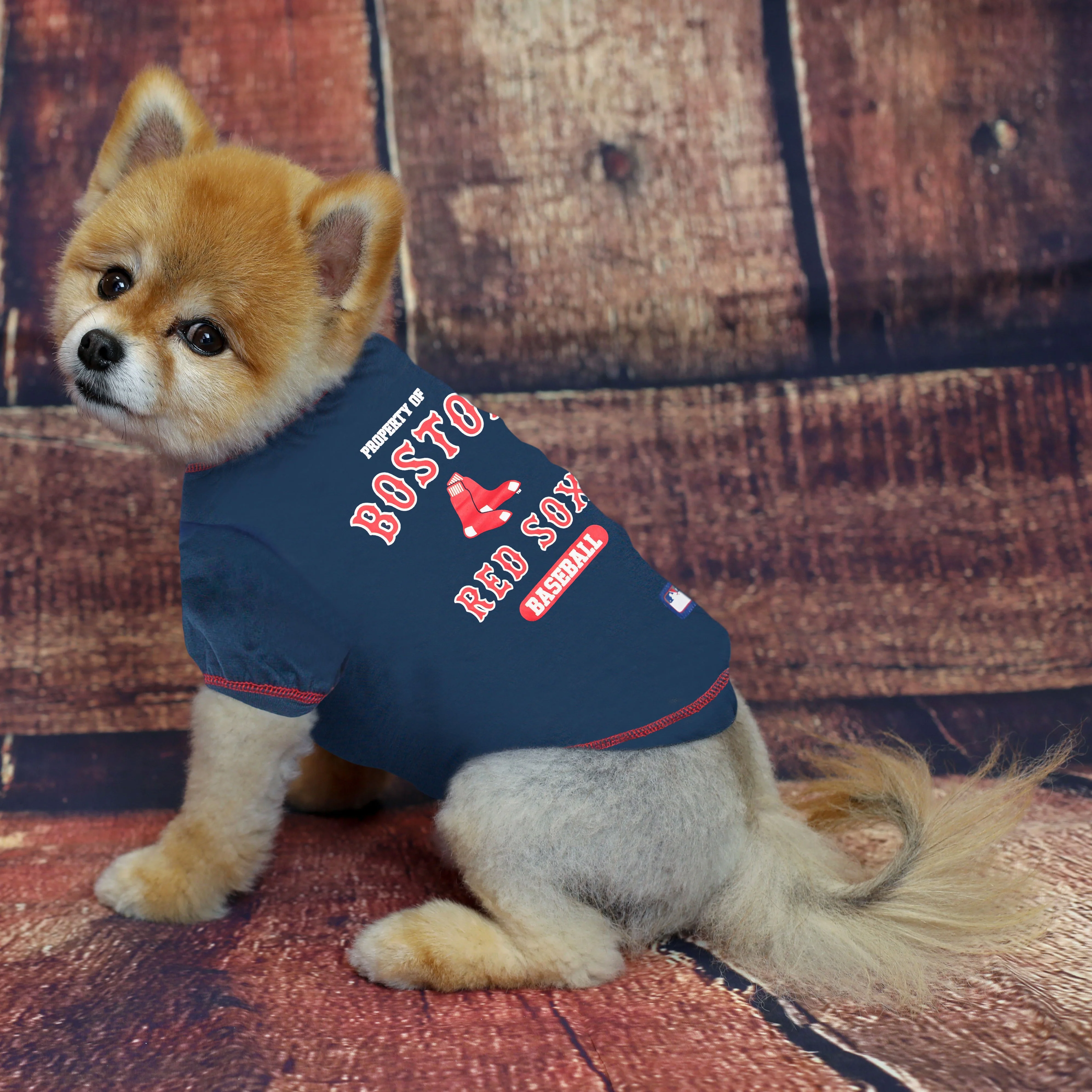 Boston Red Sox Dog Tee Shirt - Image 3