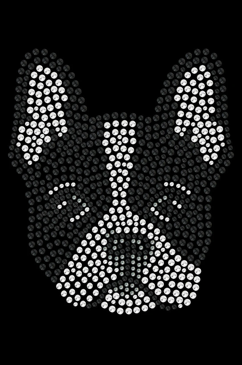 Boston Terrier - bandana
