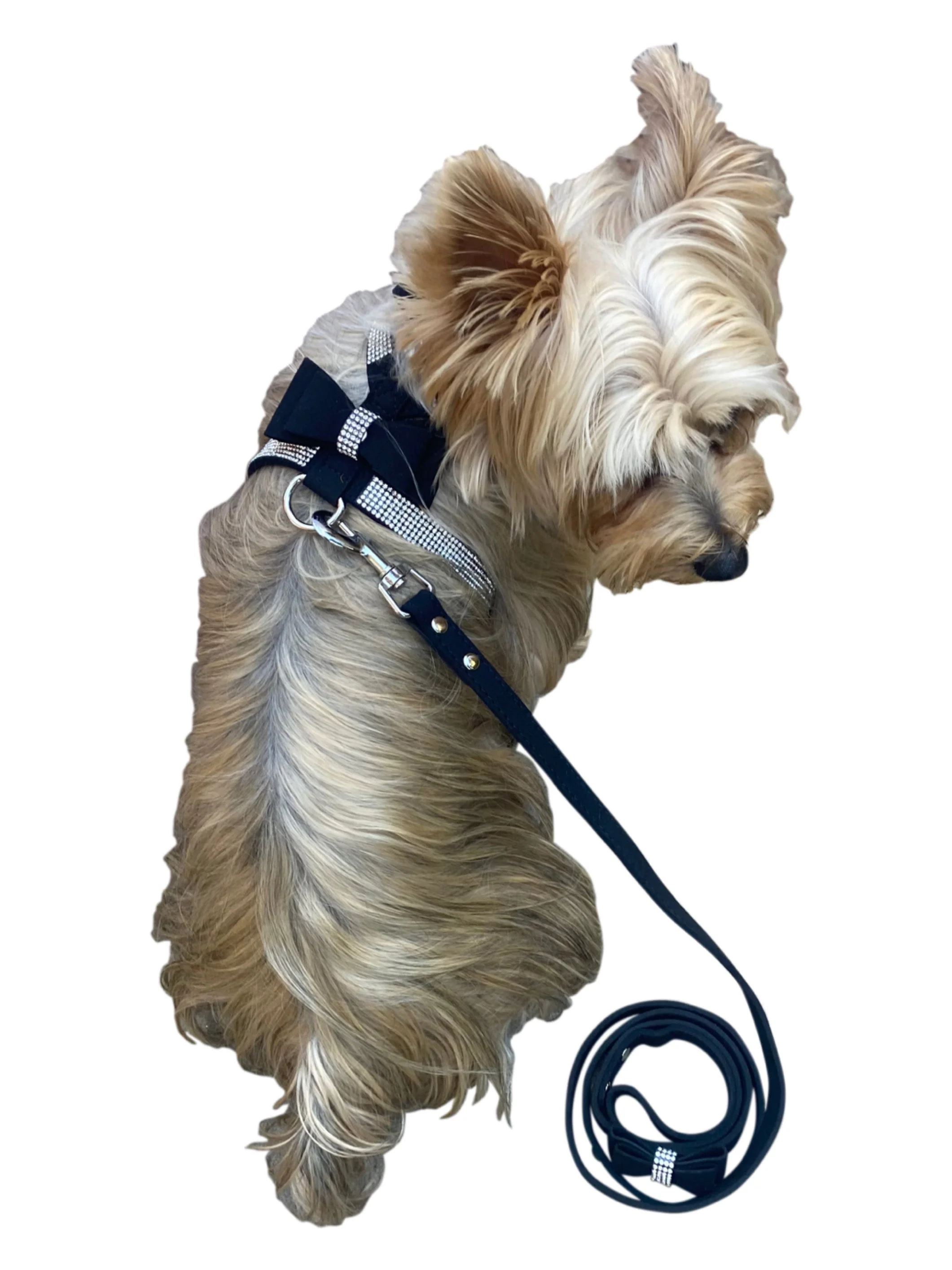 Bow Tie Dog Harness in Pleather, Black
