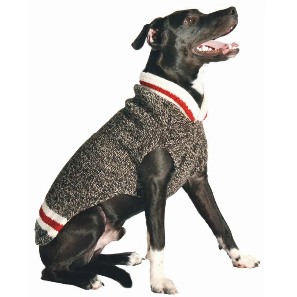 Boyfriend Dog Sweater - Image 4