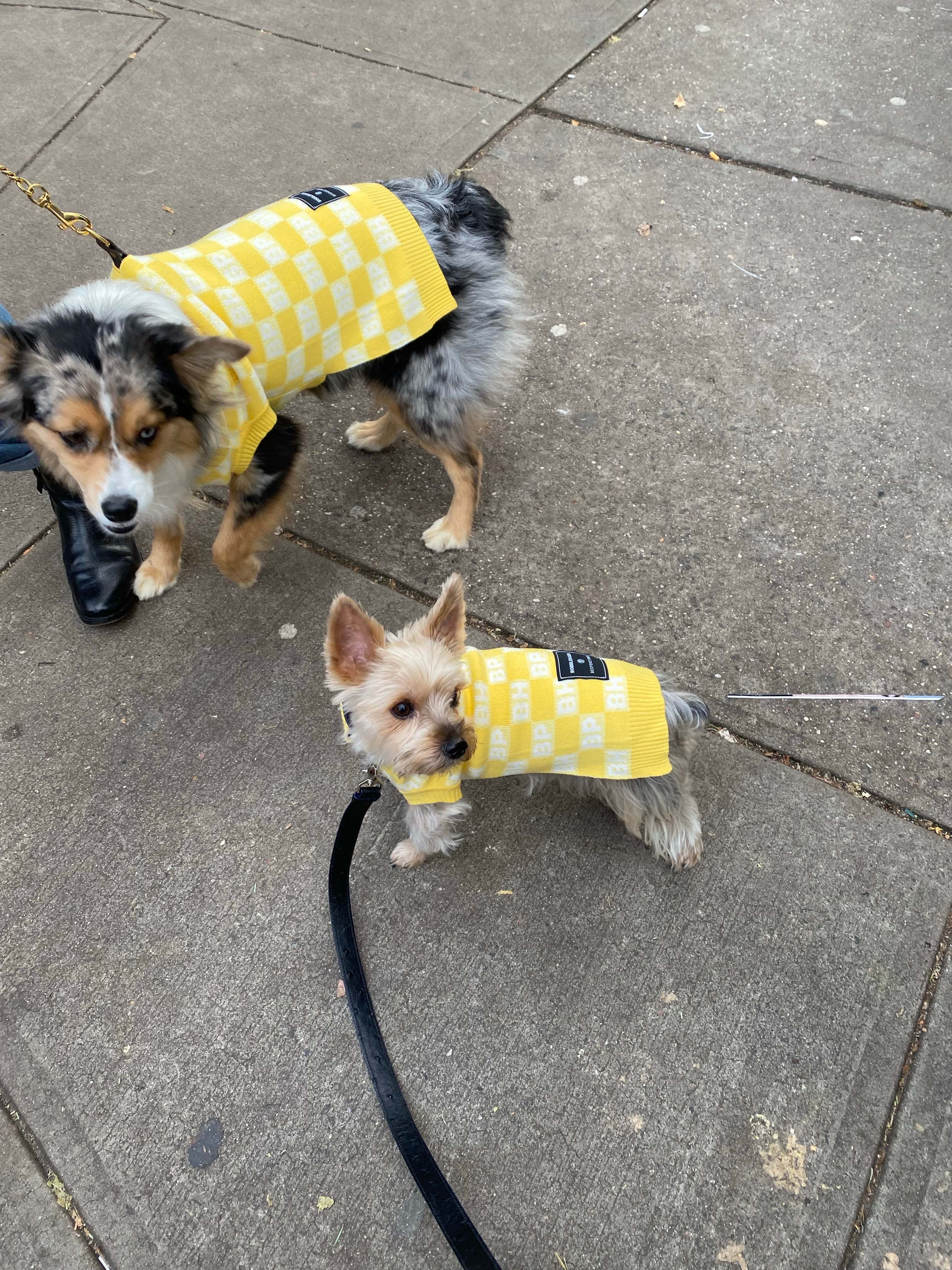 BESPOKE PAWS BP X BH Check Sweater vest - Cotton Recycled Warm Cozy Sweaters - Image 4