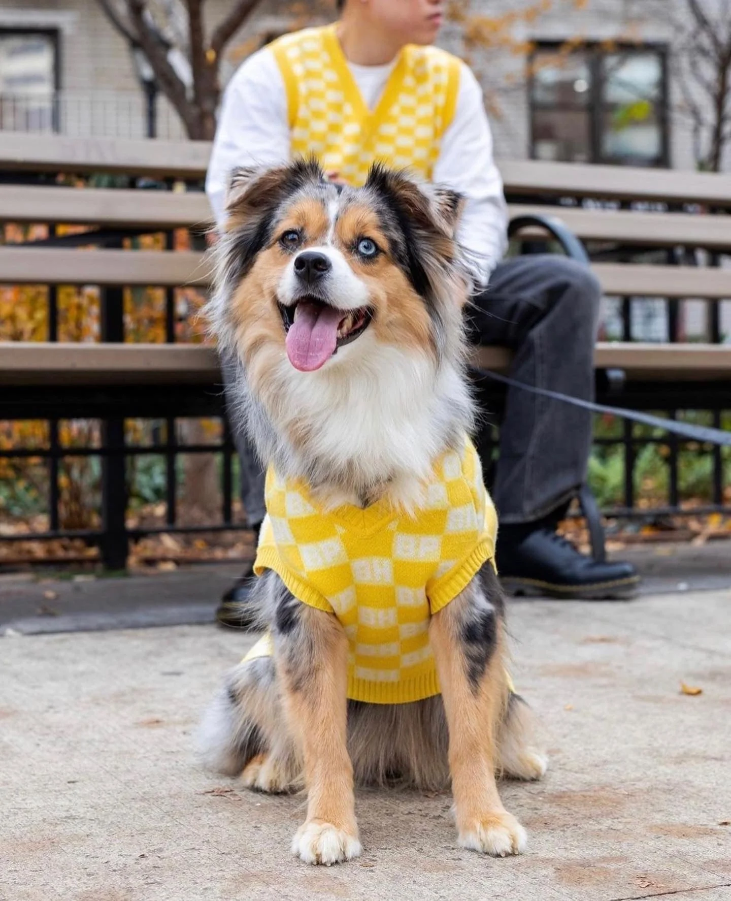 BESPOKE PAWS BP X BH Check Sweater vest - Cotton Recycled Warm Cozy Sweaters - Image 6