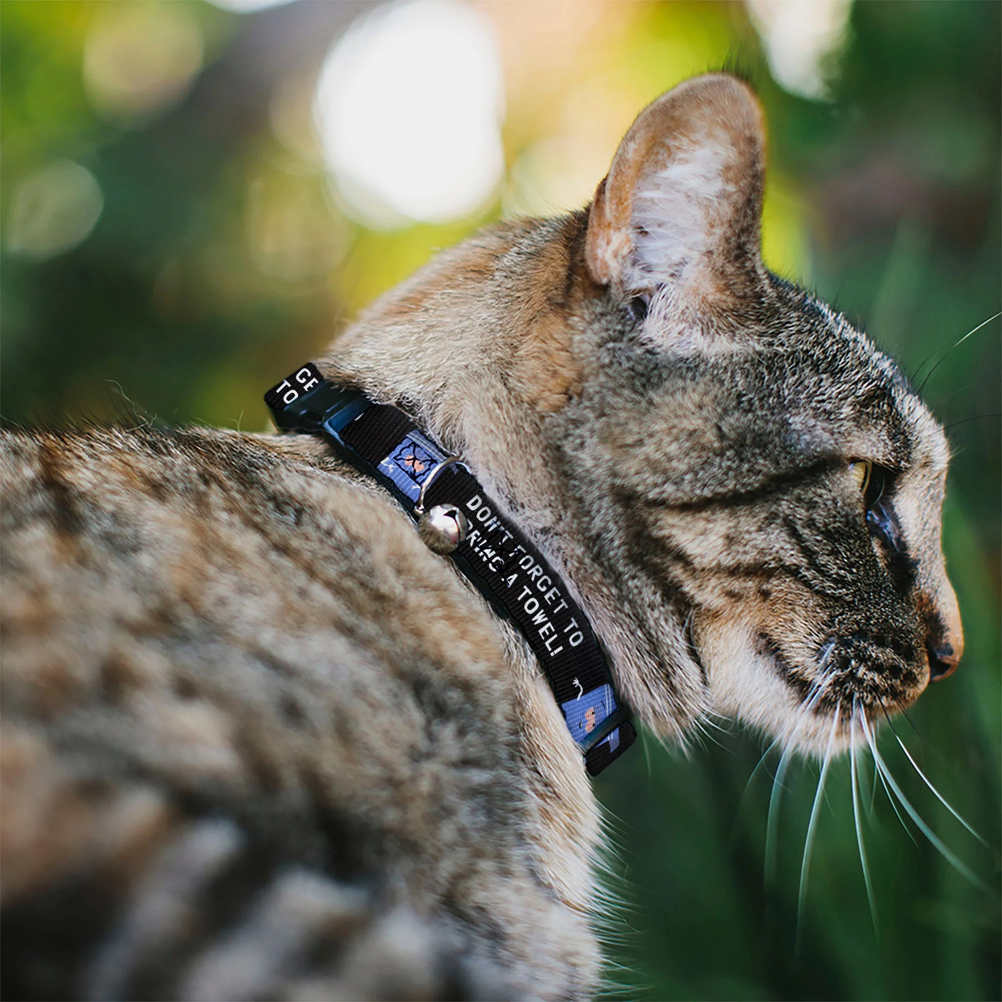 Breakaway Cat Collar with Bell - South Park Towlie DON’T FORGET TO BRING A TOWEL Pose Black - Image 2