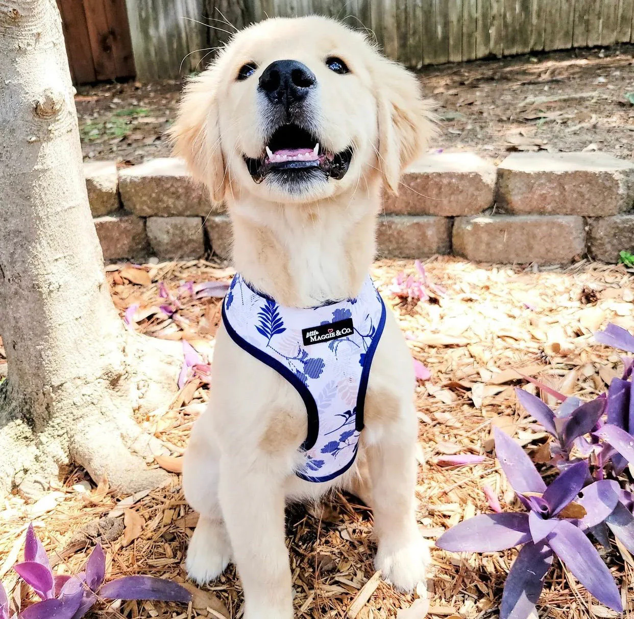 Breezy Reversible Harness - Image 11