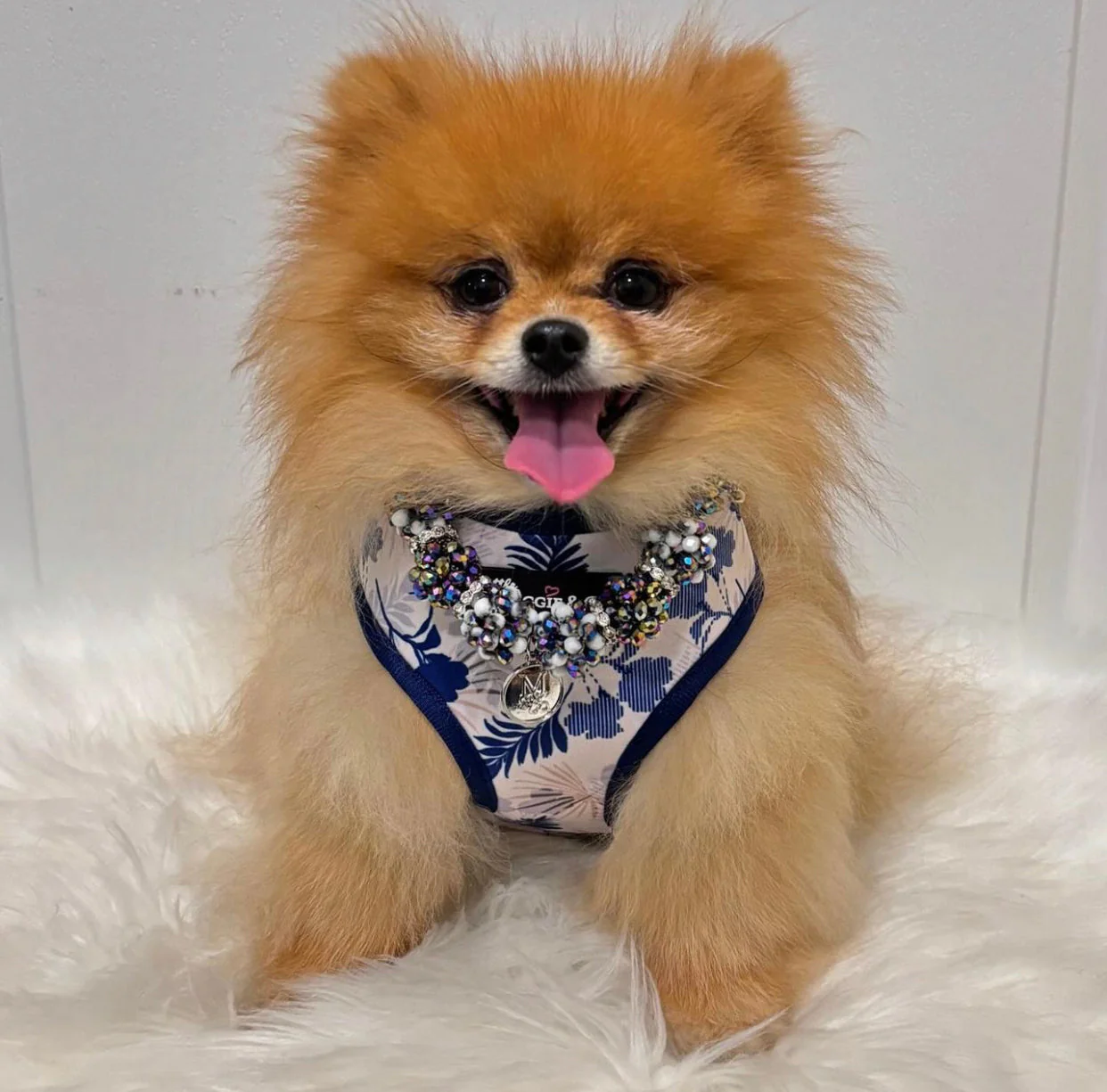Breezy Reversible Harness - Image 12