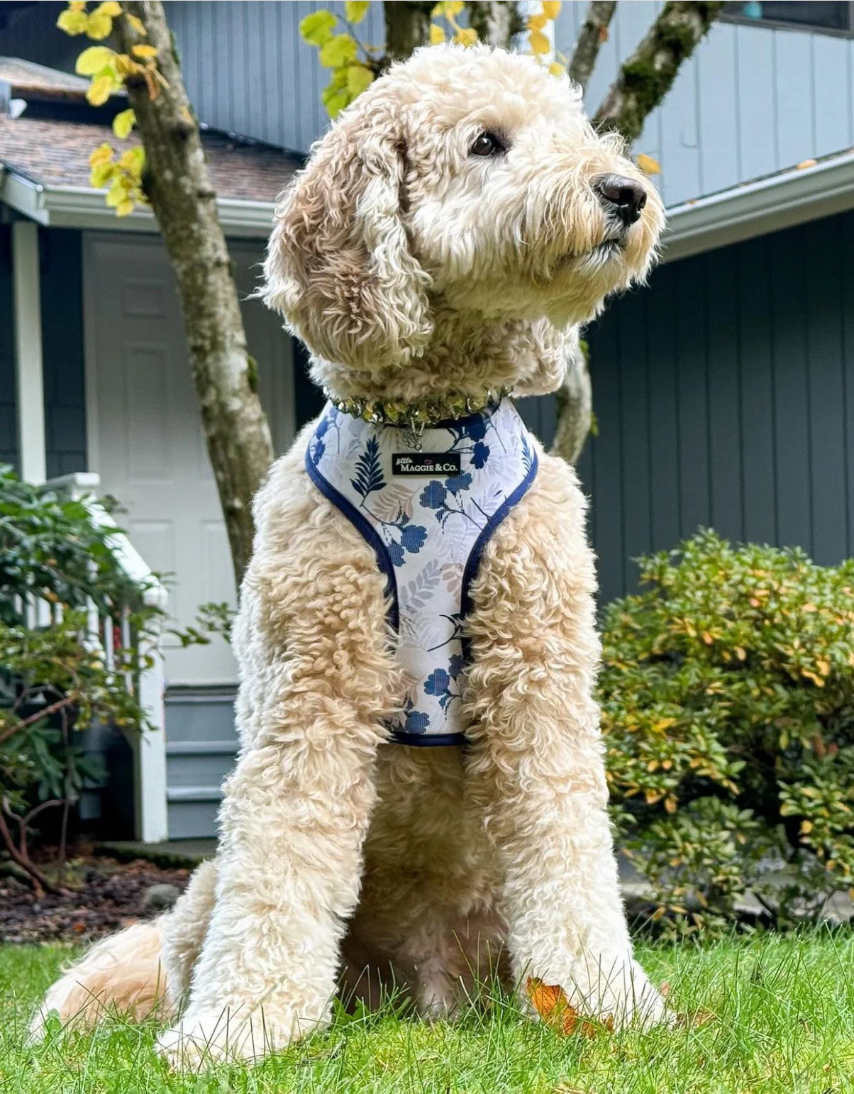 Breezy Reversible Harness - Image 14