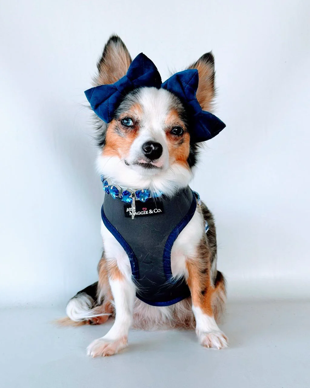 Breezy Reversible Harness - Image 17