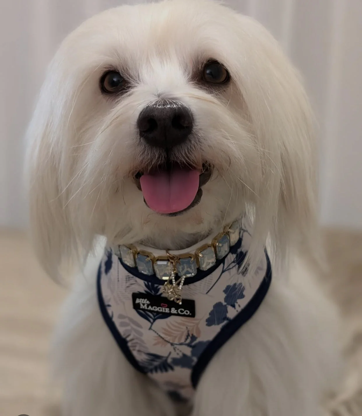 Breezy Reversible Harness - Image 19