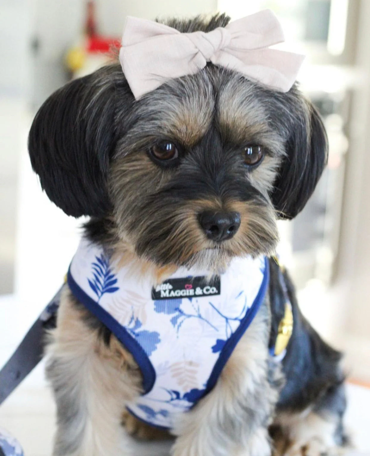 Breezy Reversible Harness - Image 8
