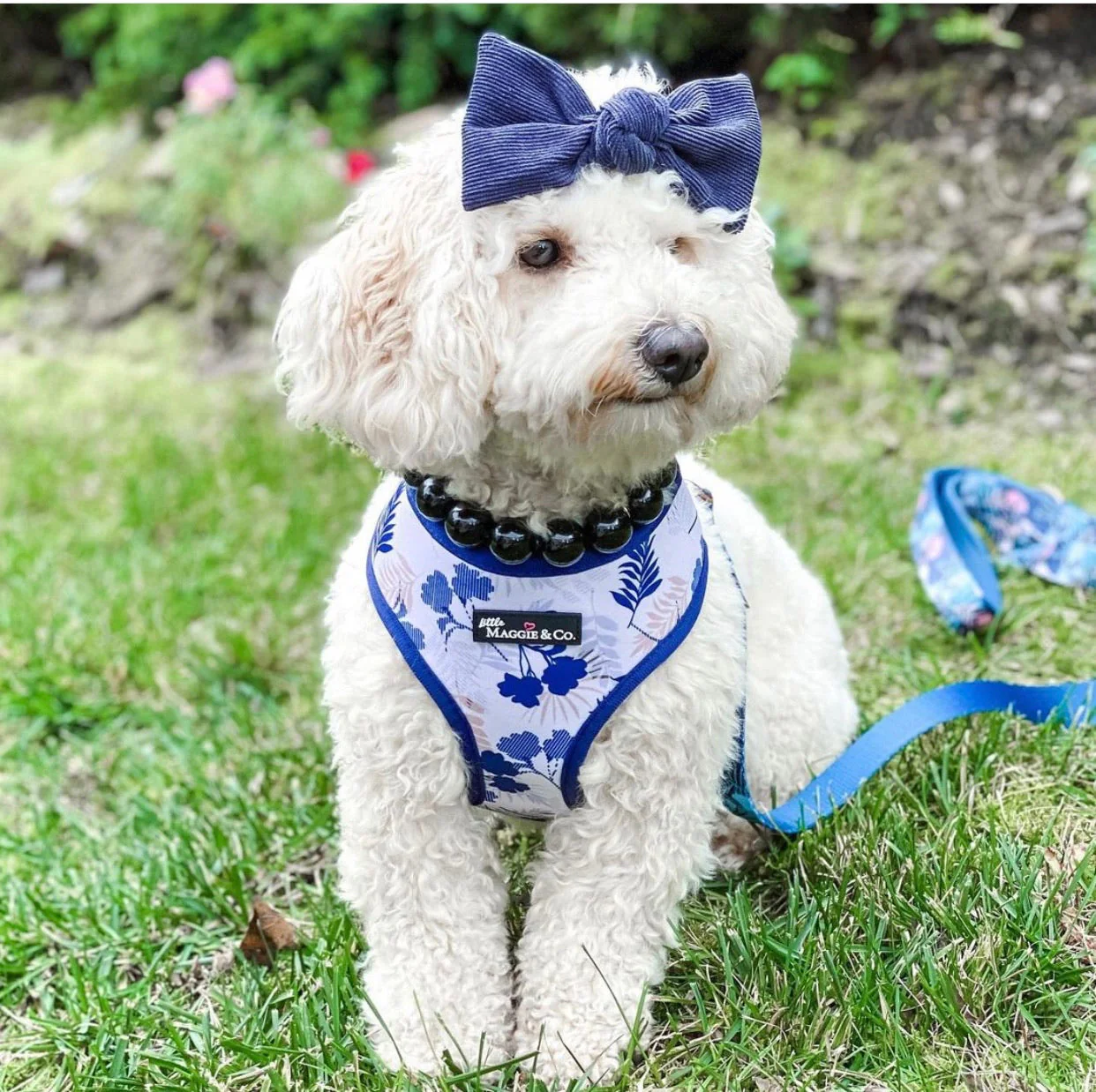 Breezy Reversible Harness - Image 9