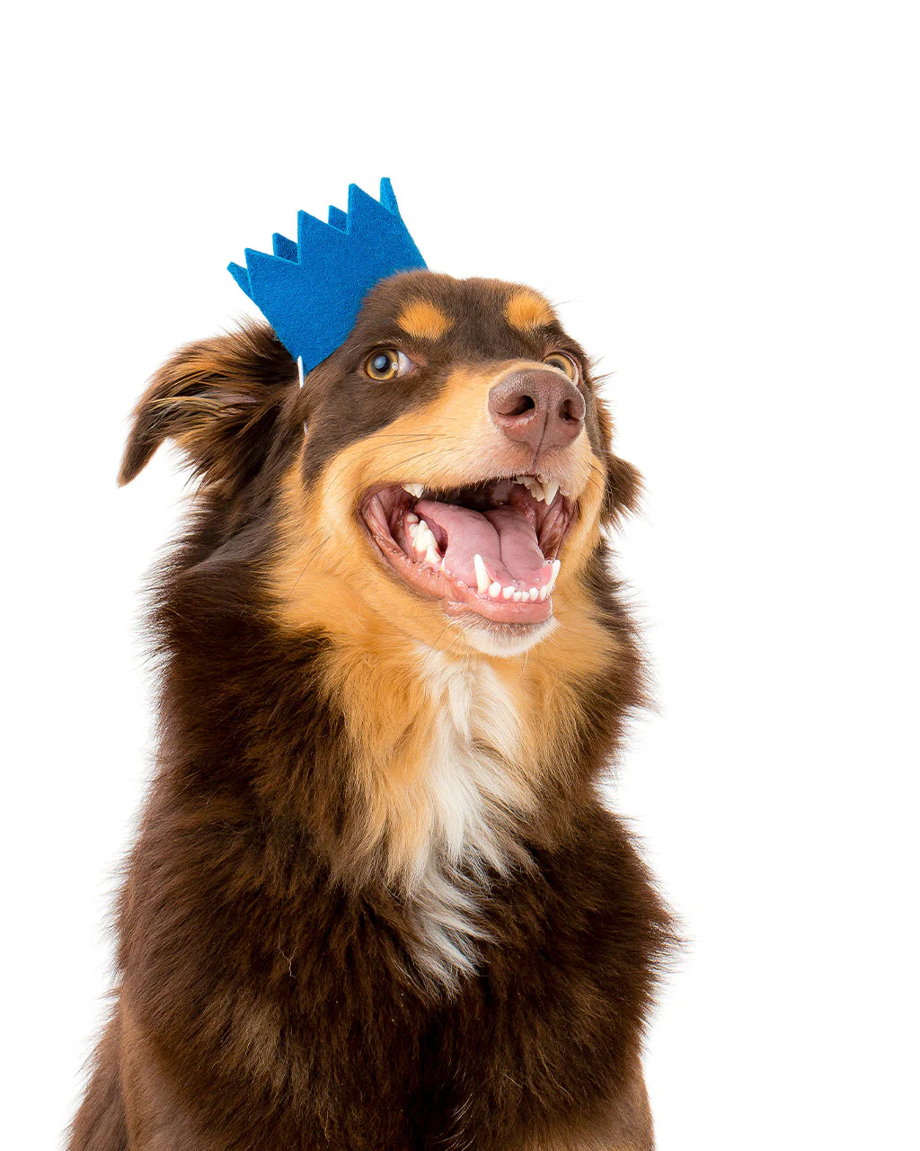 BRIGHT PARTY CROWNS - Image 2