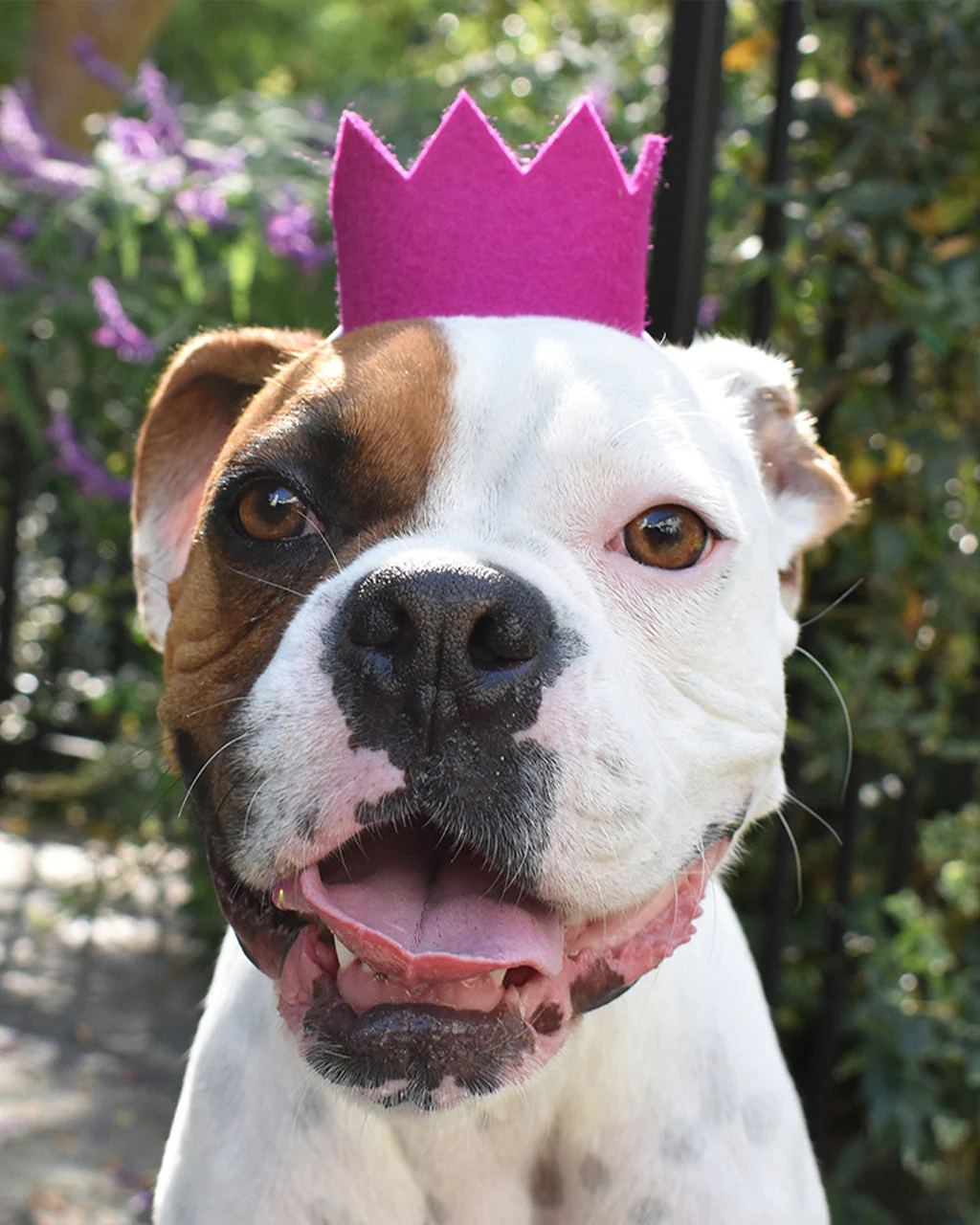 BRIGHT PARTY CROWNS - Image 9