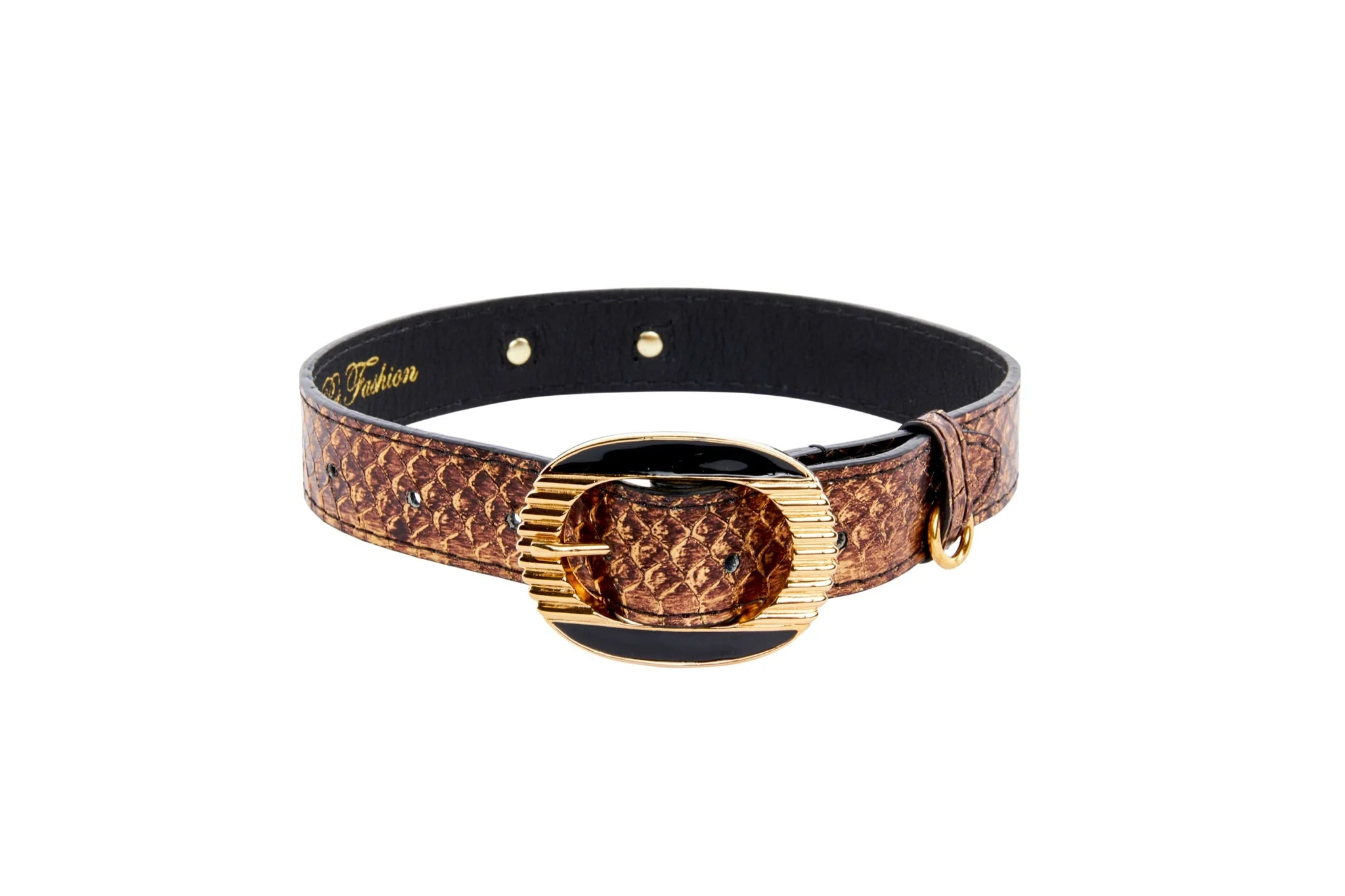 Bronze Gold Snake With Vintage Black & Gold Custom Italian Hardware Collar - Image 2