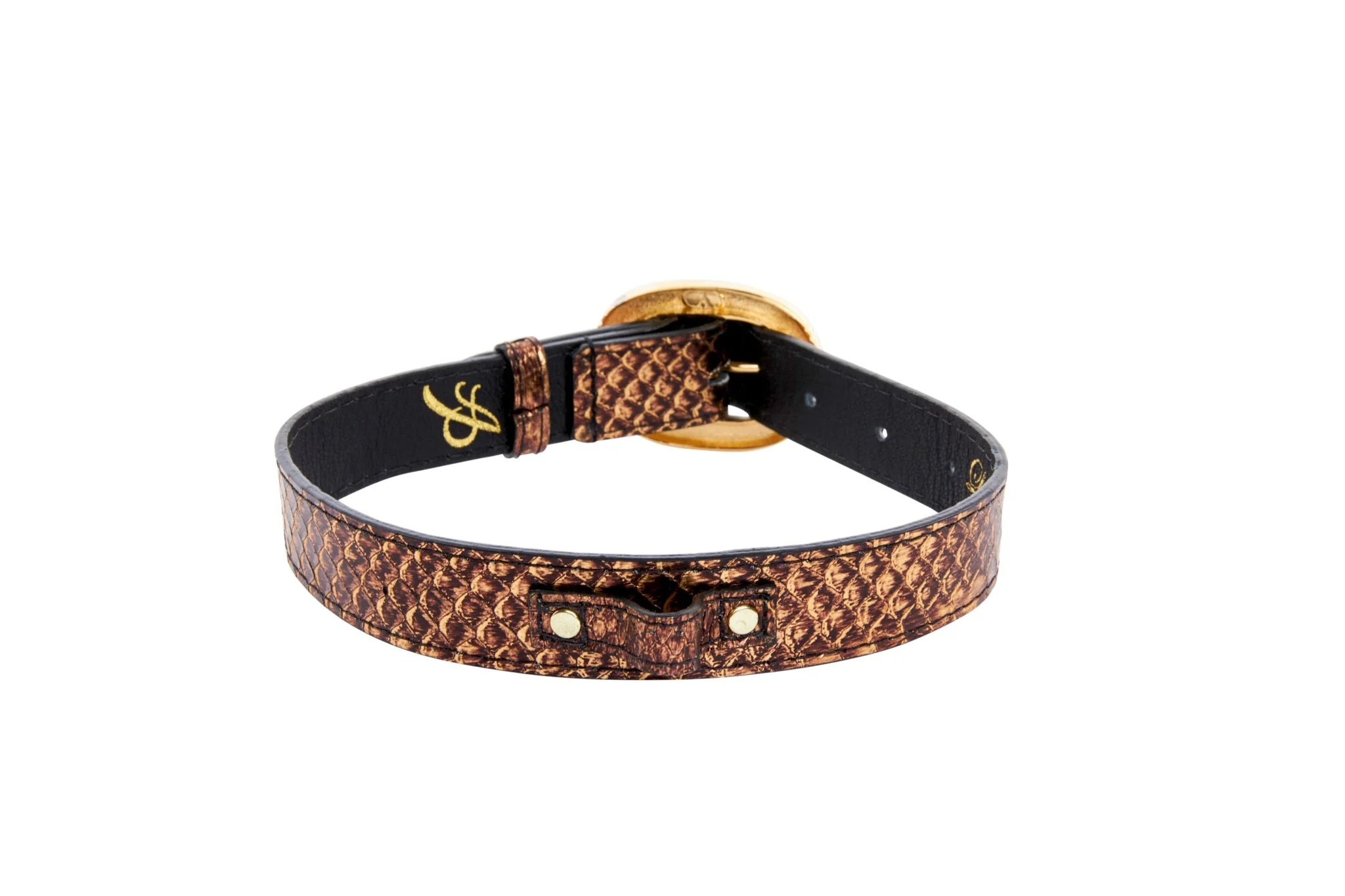 Bronze Gold Snake With Vintage Black & Gold Custom Italian Hardware Collar - Image 3