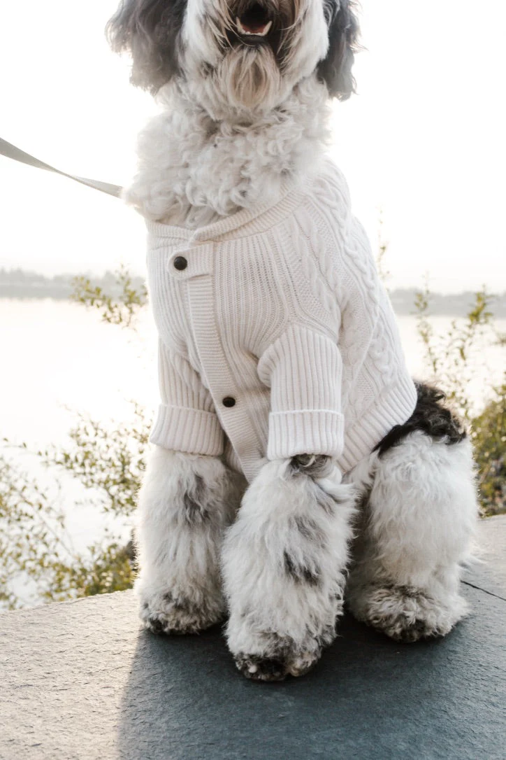 BESPOKE PAWS Brooklyn Cashmere Cardigan - NYC Designer Original Sweaters - Image 3