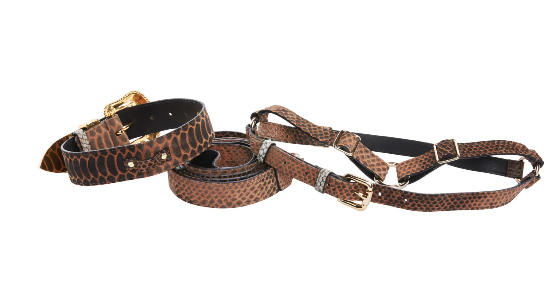 Brown/Black Embossed Snake Italian Leather Collar With Swarovski Crystal Hardware Leash & Harness Set - Image 2