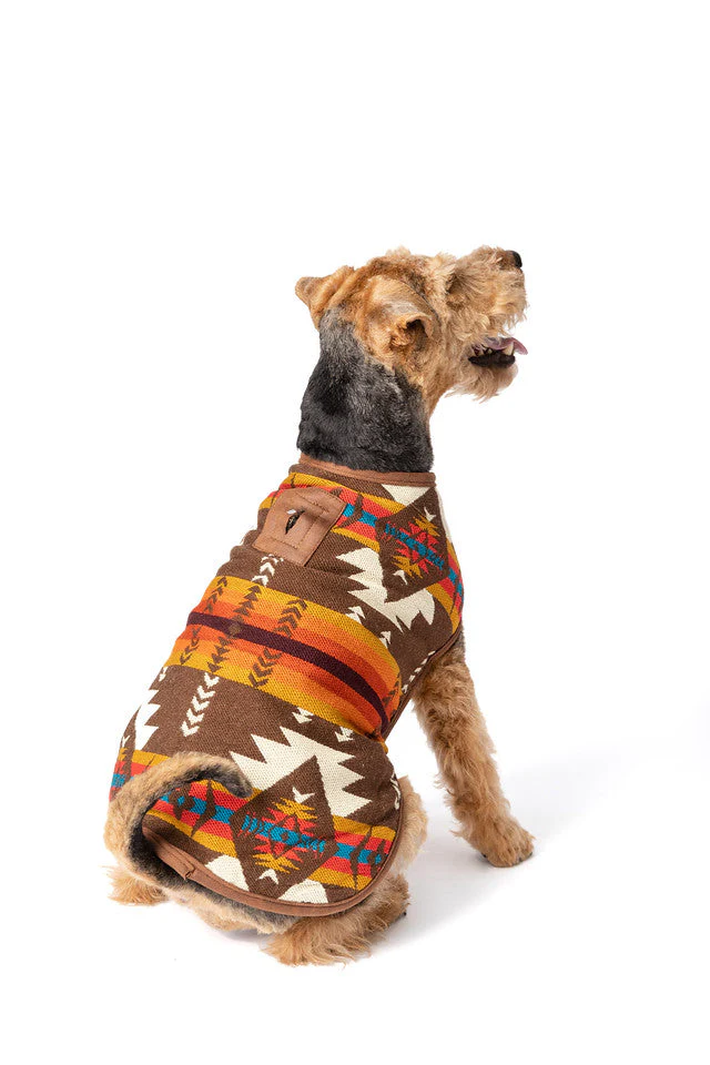Brown Southwest Blanket Dog Coat - Image 4