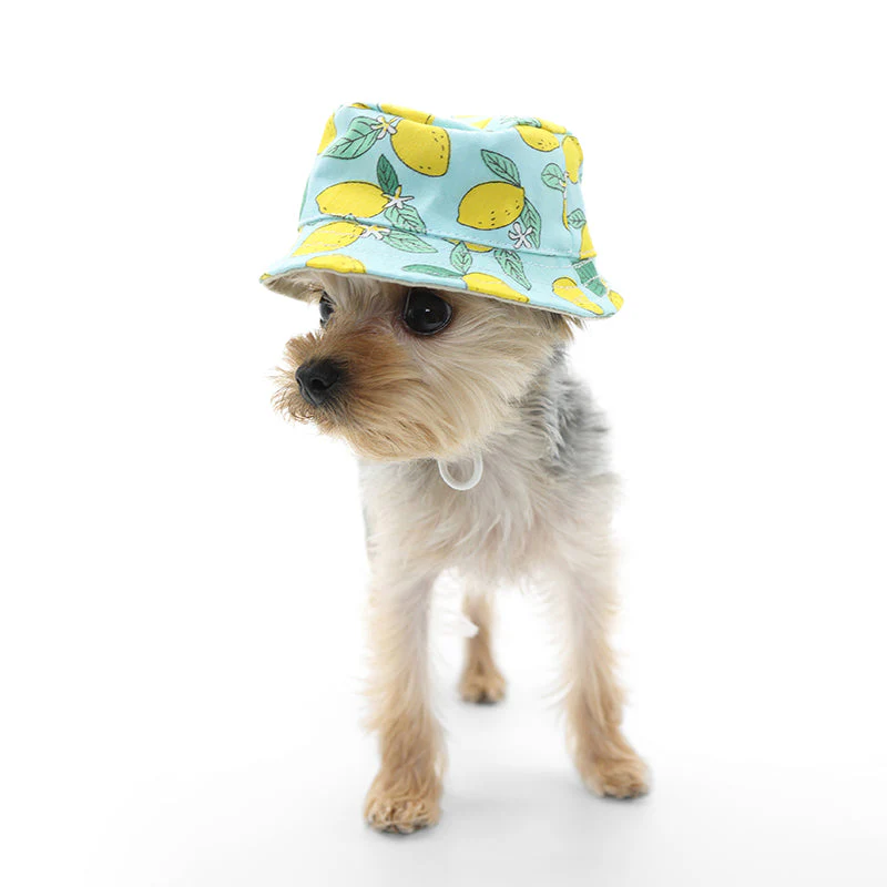 Bucket Hat Lemon Blue - Image 5