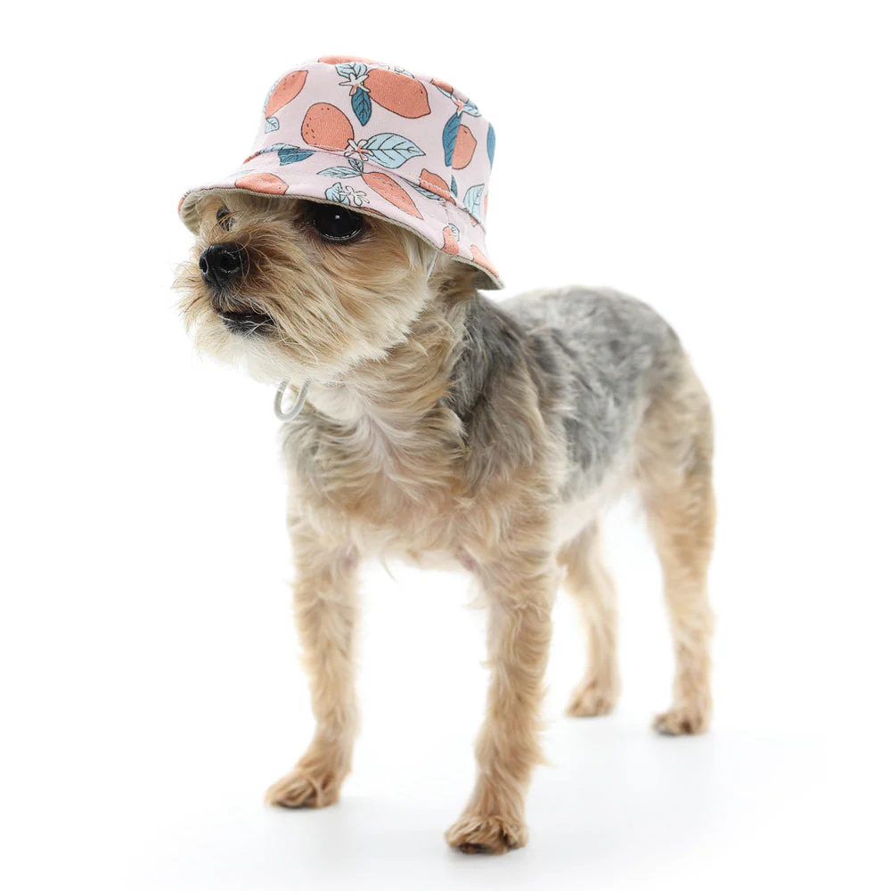 Bucket Hat Lemon Pink - Image 4