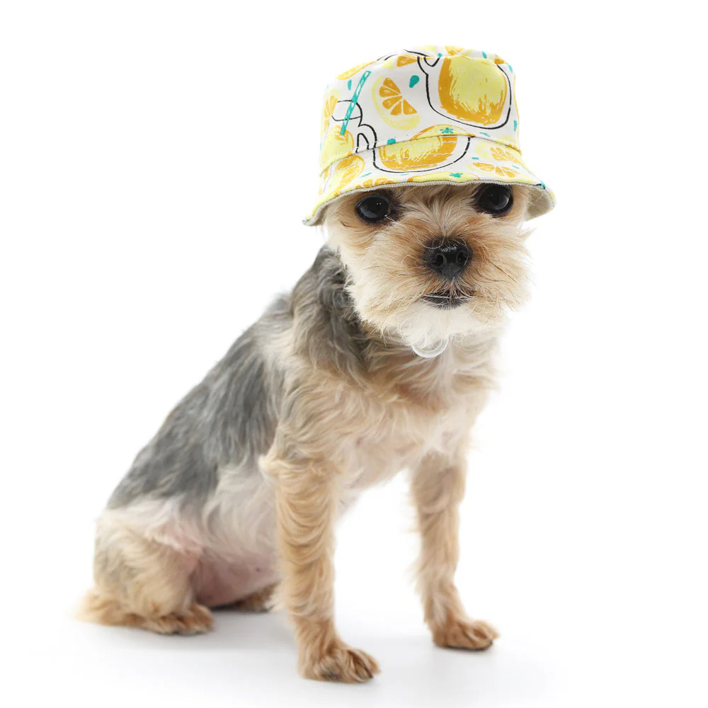 Bucket Hat Lemonade - Image 2