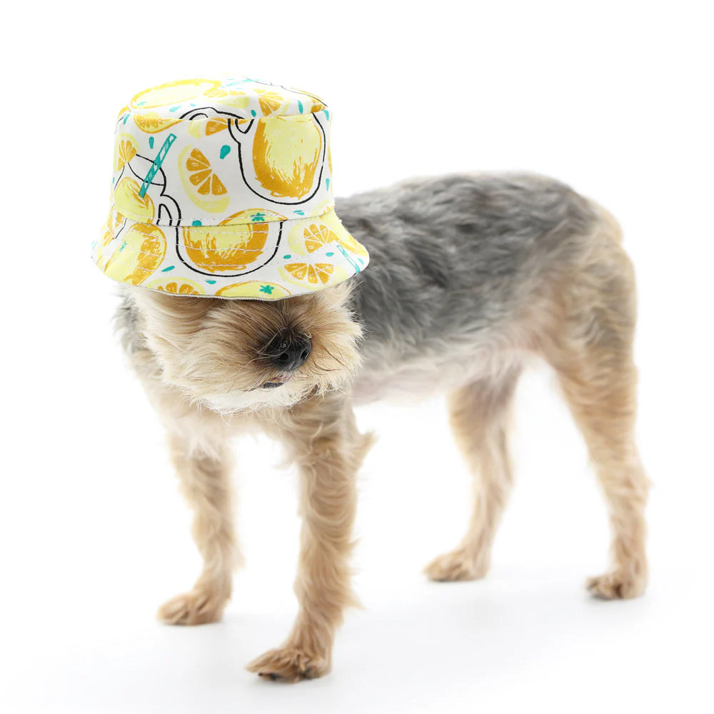 Bucket Hat Lemonade - Image 4