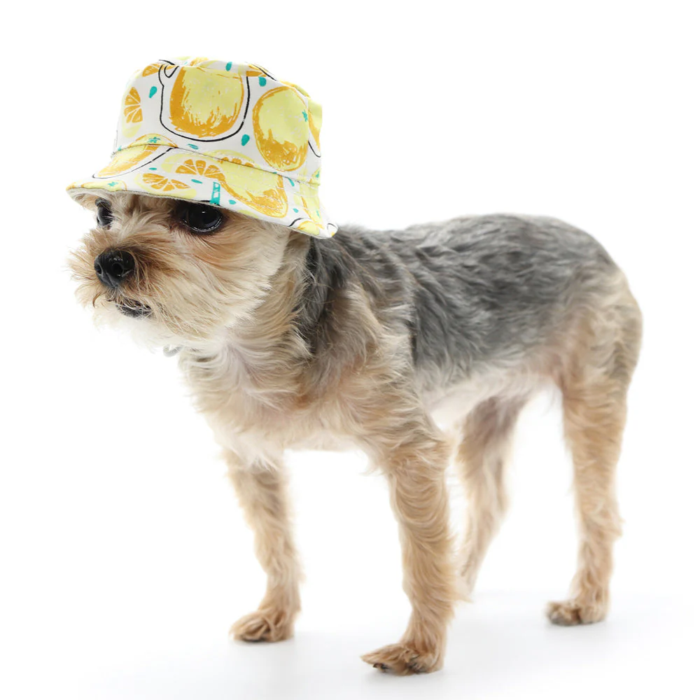 Bucket Hat Lemonade - Image 5