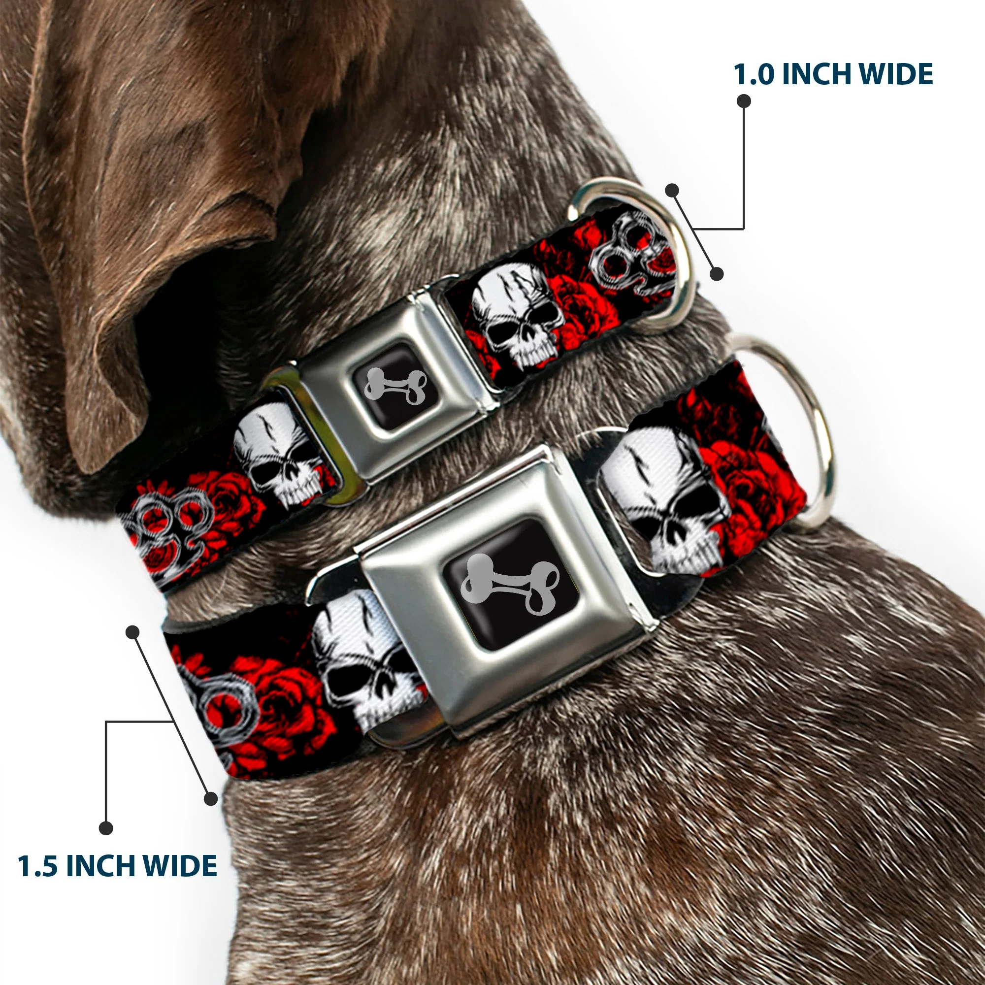 Buckle-Down Seatbelt Buckle Dog Collar - Brass Knuckles/Skulls/Roses Black/Red/White - Image 2