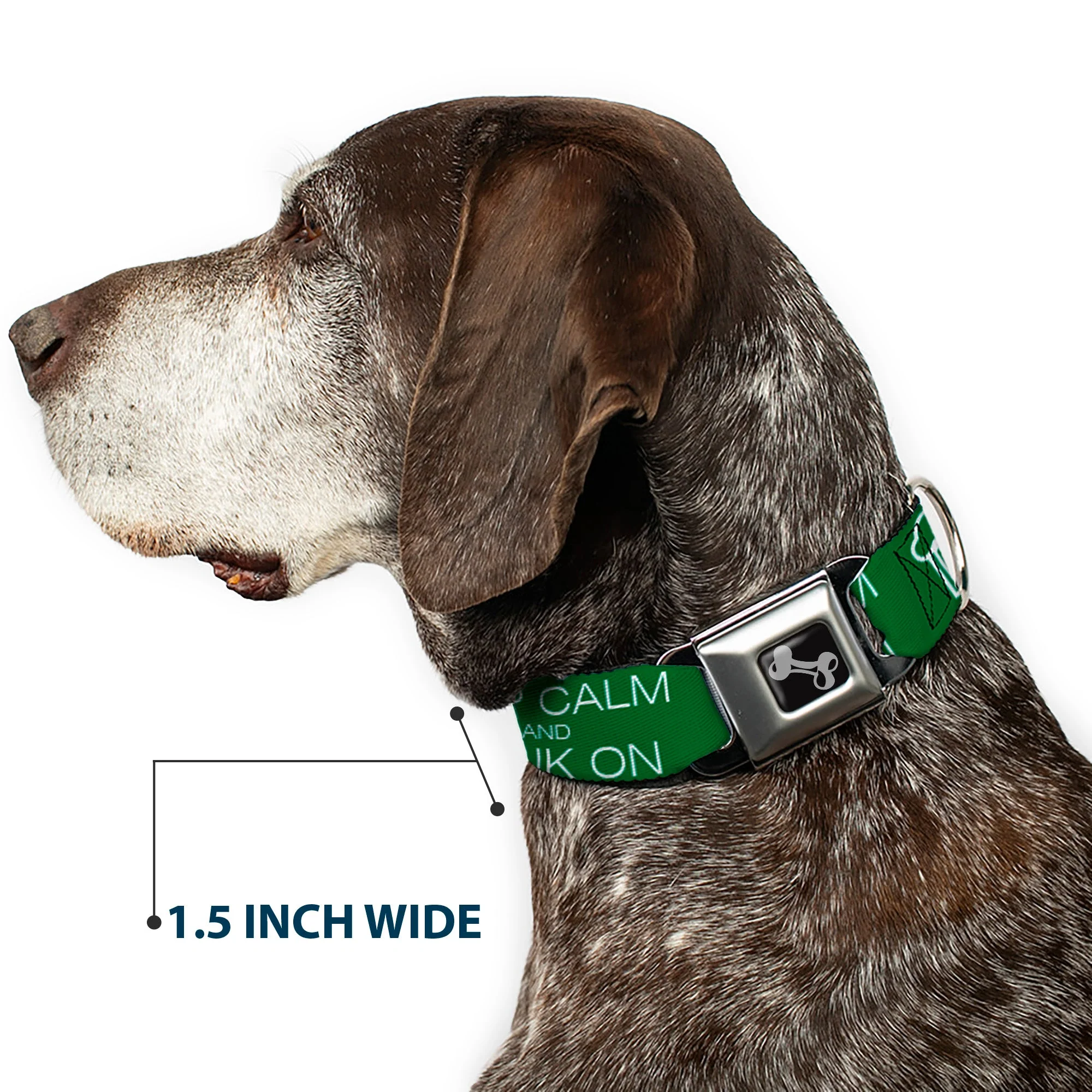 Buckle-Down Seatbelt Buckle Dog Collar - KEEP CALM AND DRINK ON/Beer Green/White - Image 7