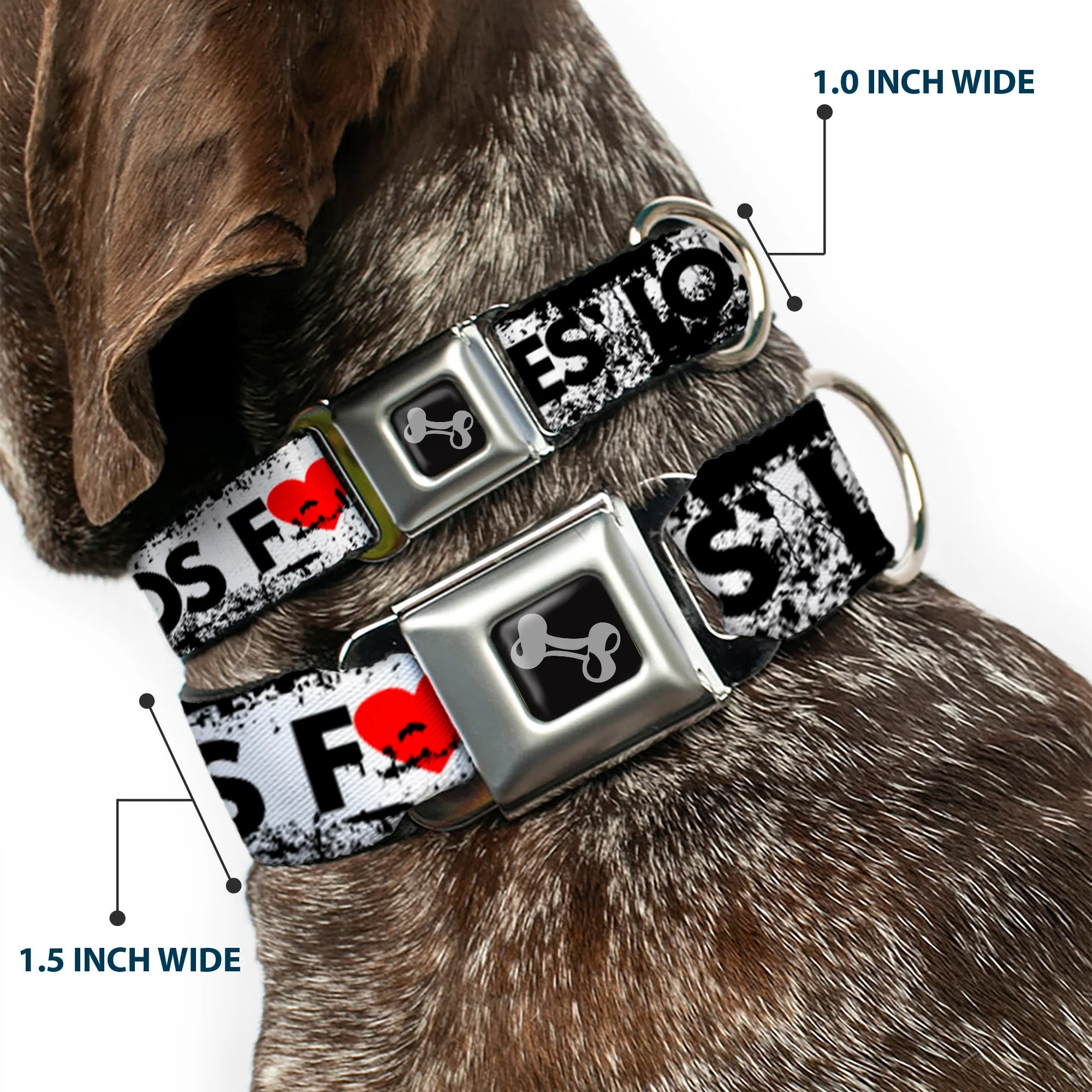 Buckle-Down Seatbelt Buckle Dog Collar - LOS F*CKIN' ANGELES Heart Weathered White/Black/Red - Image 2
