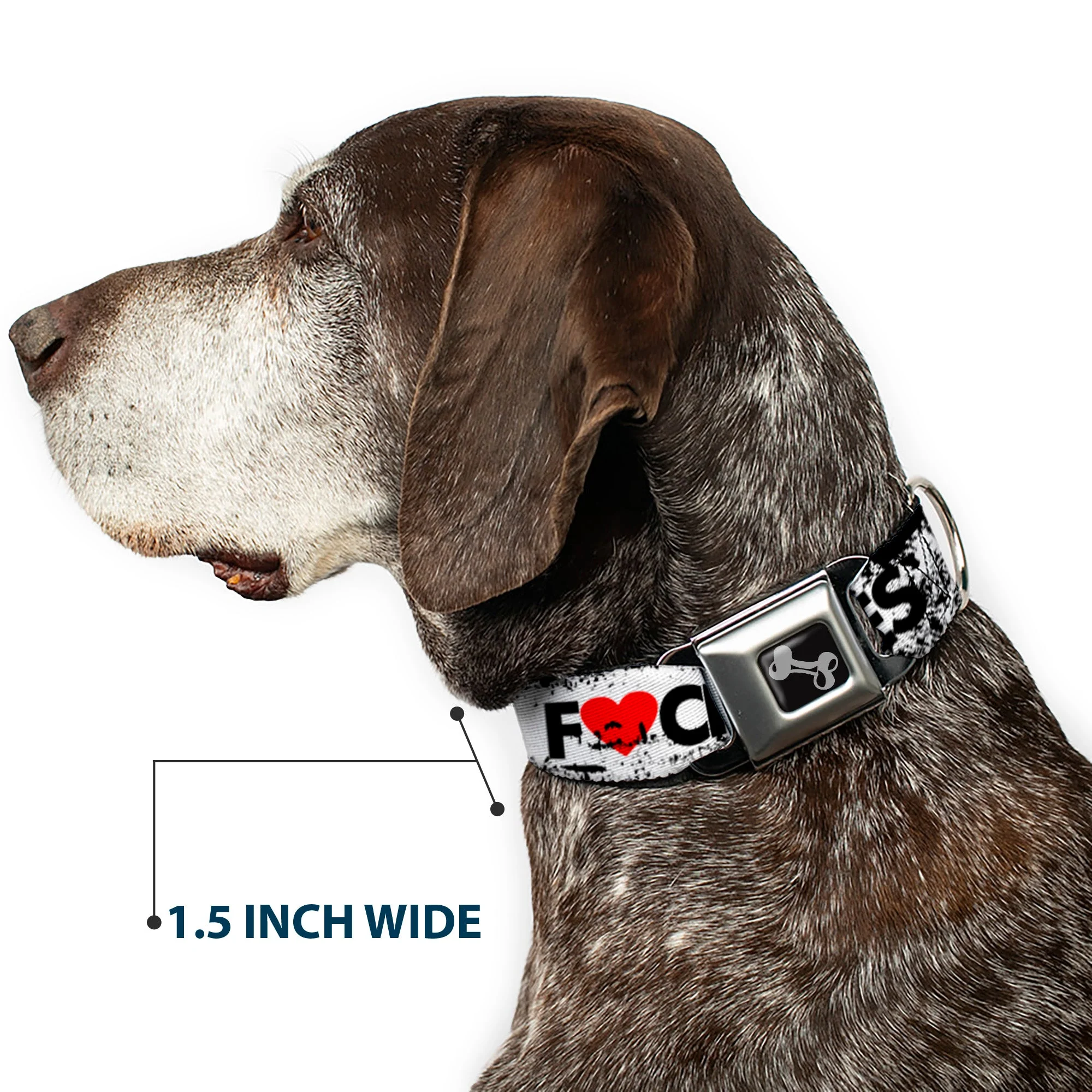 Buckle-Down Seatbelt Buckle Dog Collar - LOS F*CKIN' ANGELES Heart Weathered White/Black/Red - Image 7
