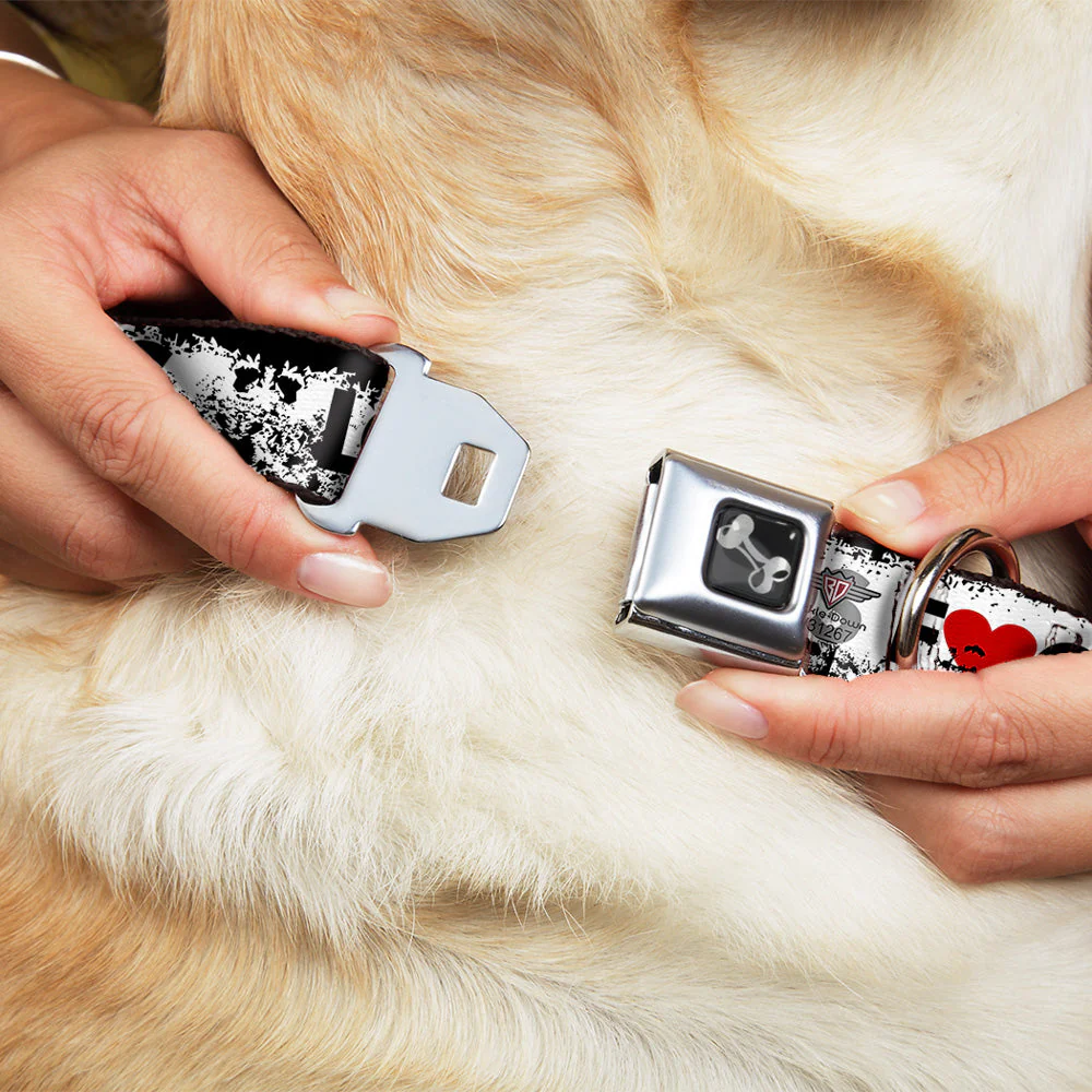 Buckle-Down Seatbelt Buckle Dog Collar - LOS F*CKIN' ANGELES Heart Weathered White/Black/Red - Image 8