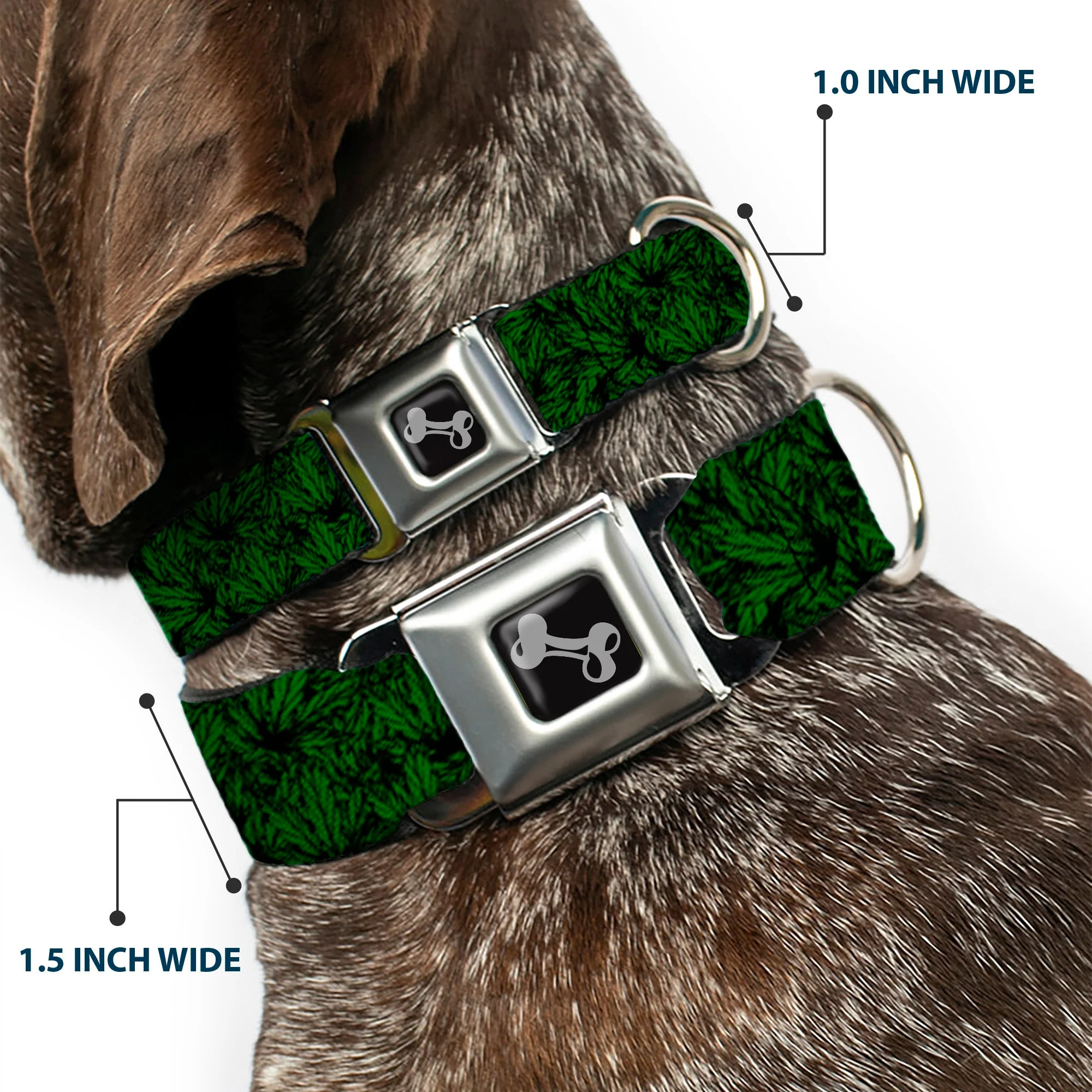 Buckle-Down Seatbelt Buckle Dog Collar - Marijuana Leaves Stacked Black/Green - Image 2