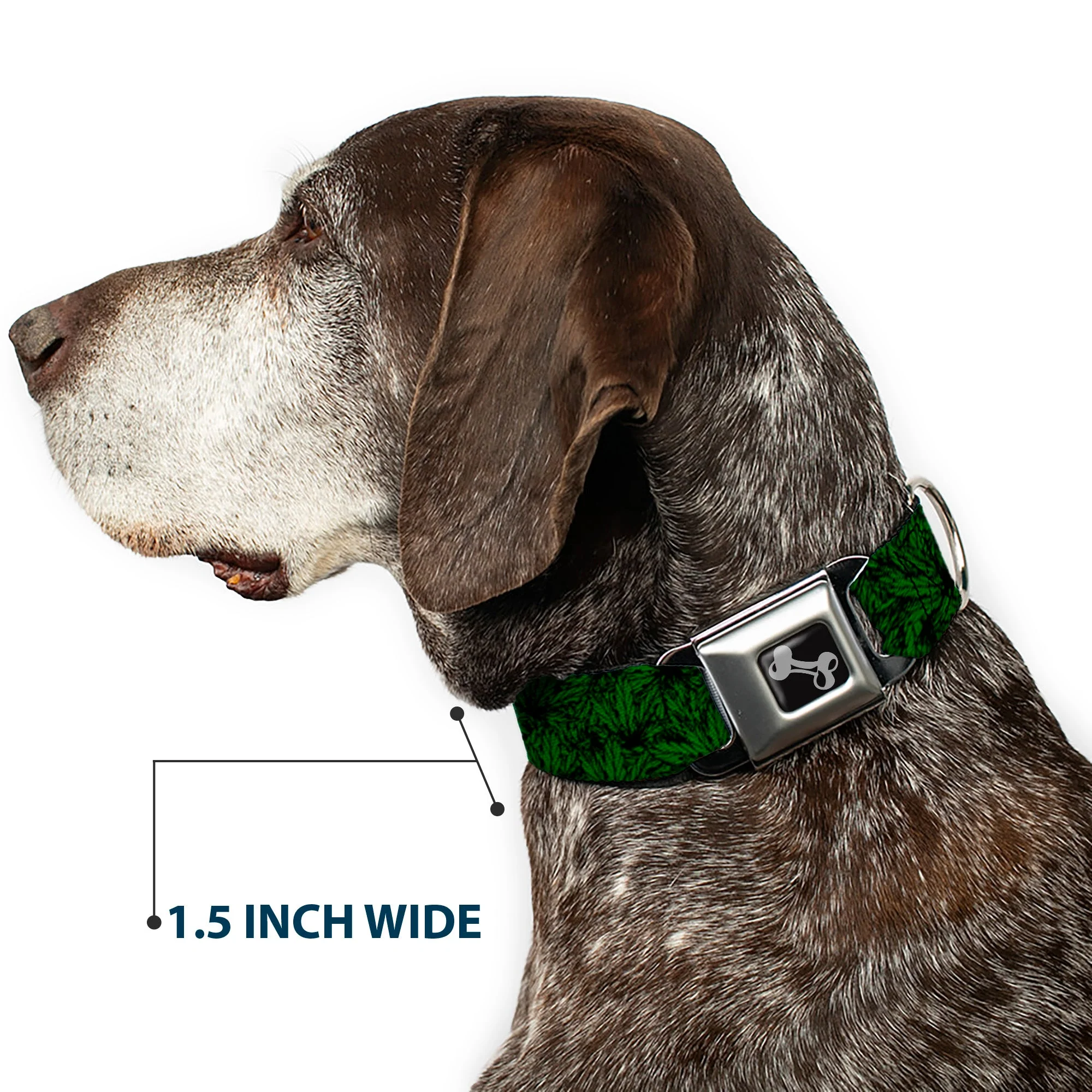 Buckle-Down Seatbelt Buckle Dog Collar - Marijuana Leaves Stacked Black/Green - Image 7