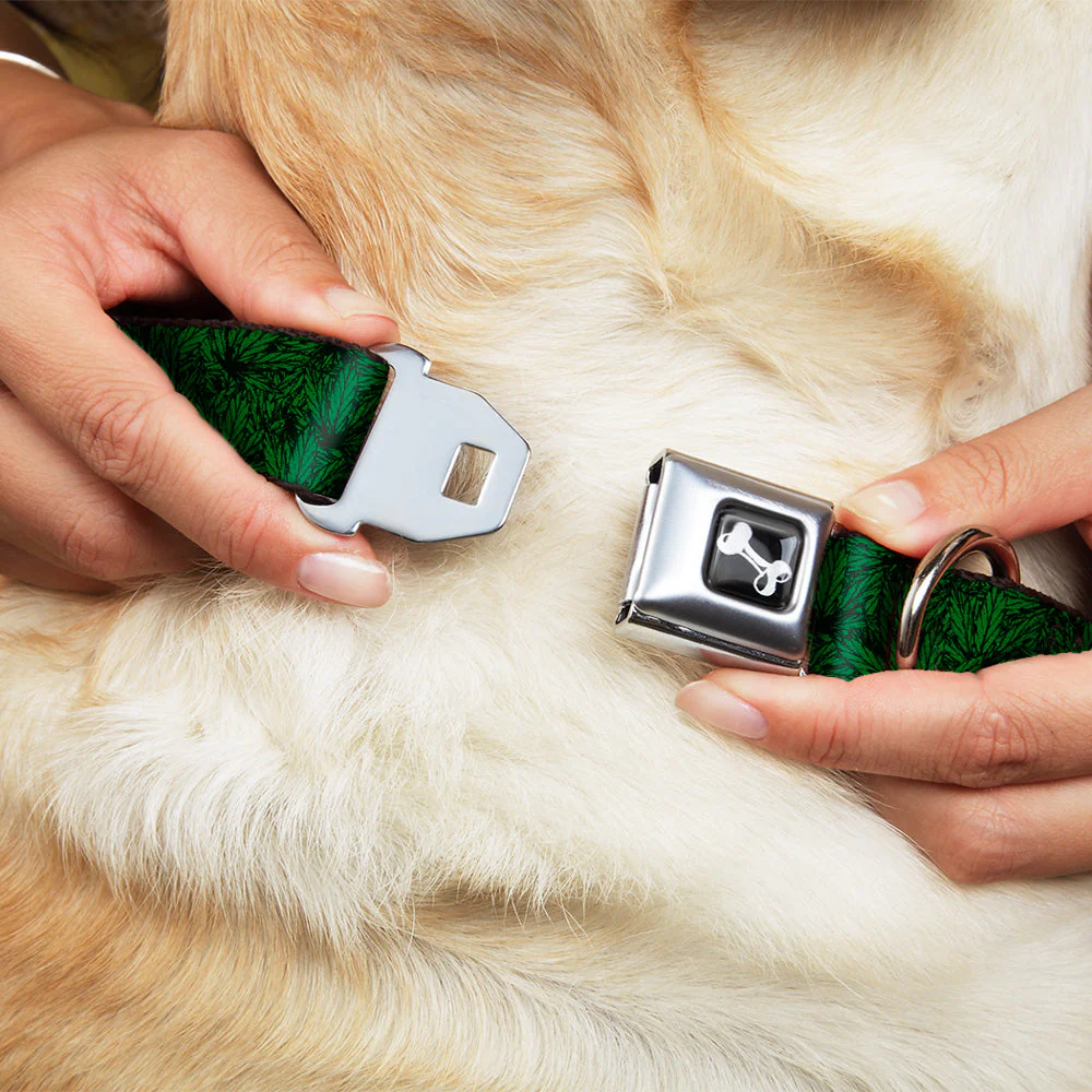 Buckle-Down Seatbelt Buckle Dog Collar - Marijuana Leaves Stacked Black/Green - Image 8