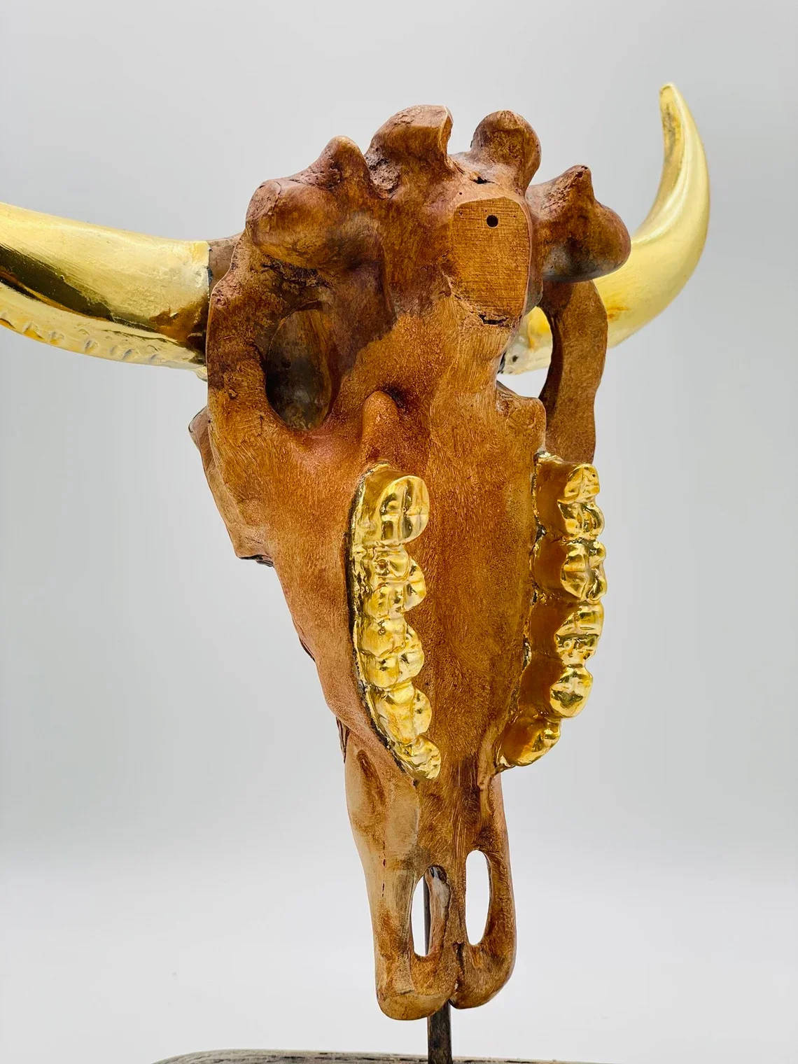 Buffalo with Gold Horns Skull Statue - Image 6