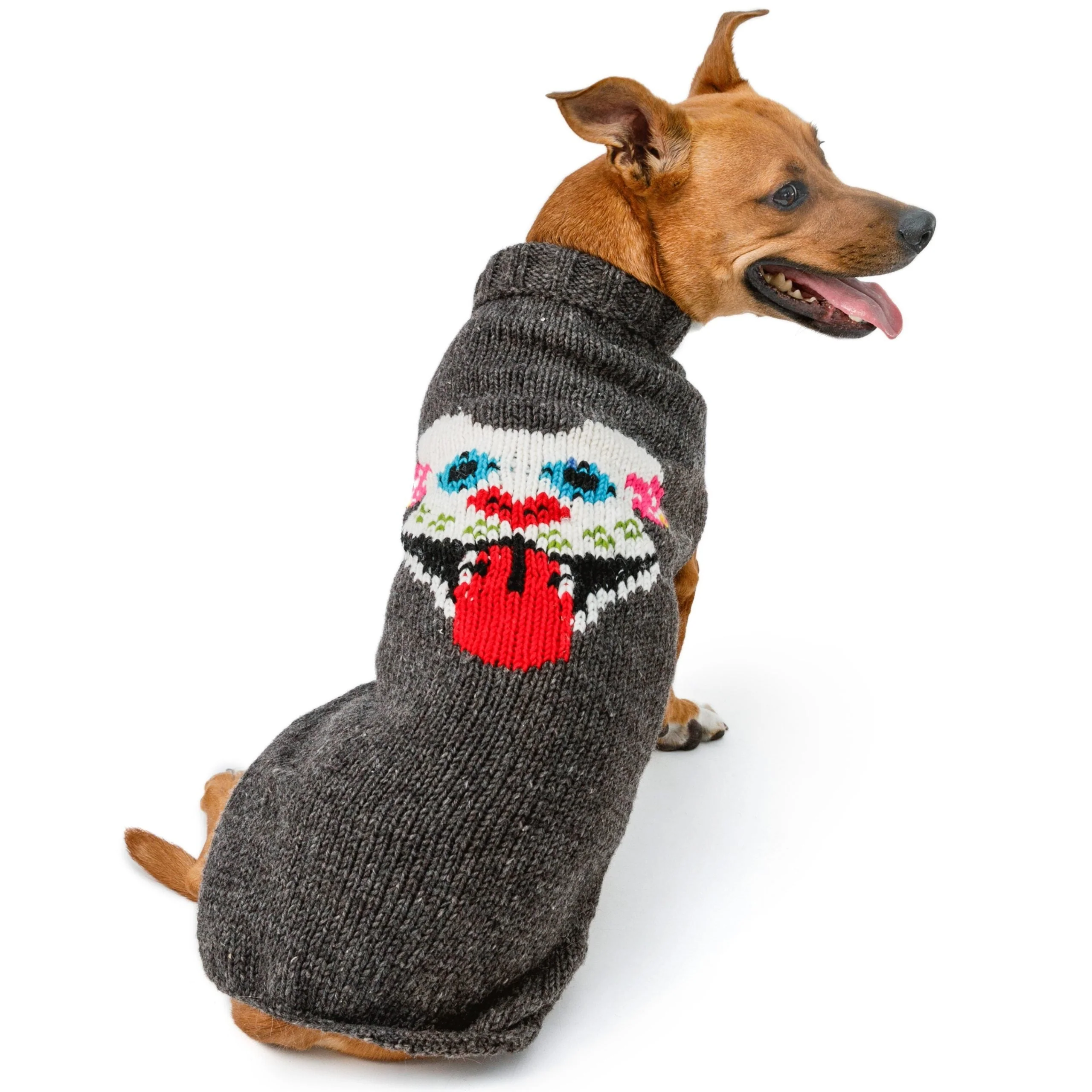 Bully Skull Dog Sweater  XXS - Image 3