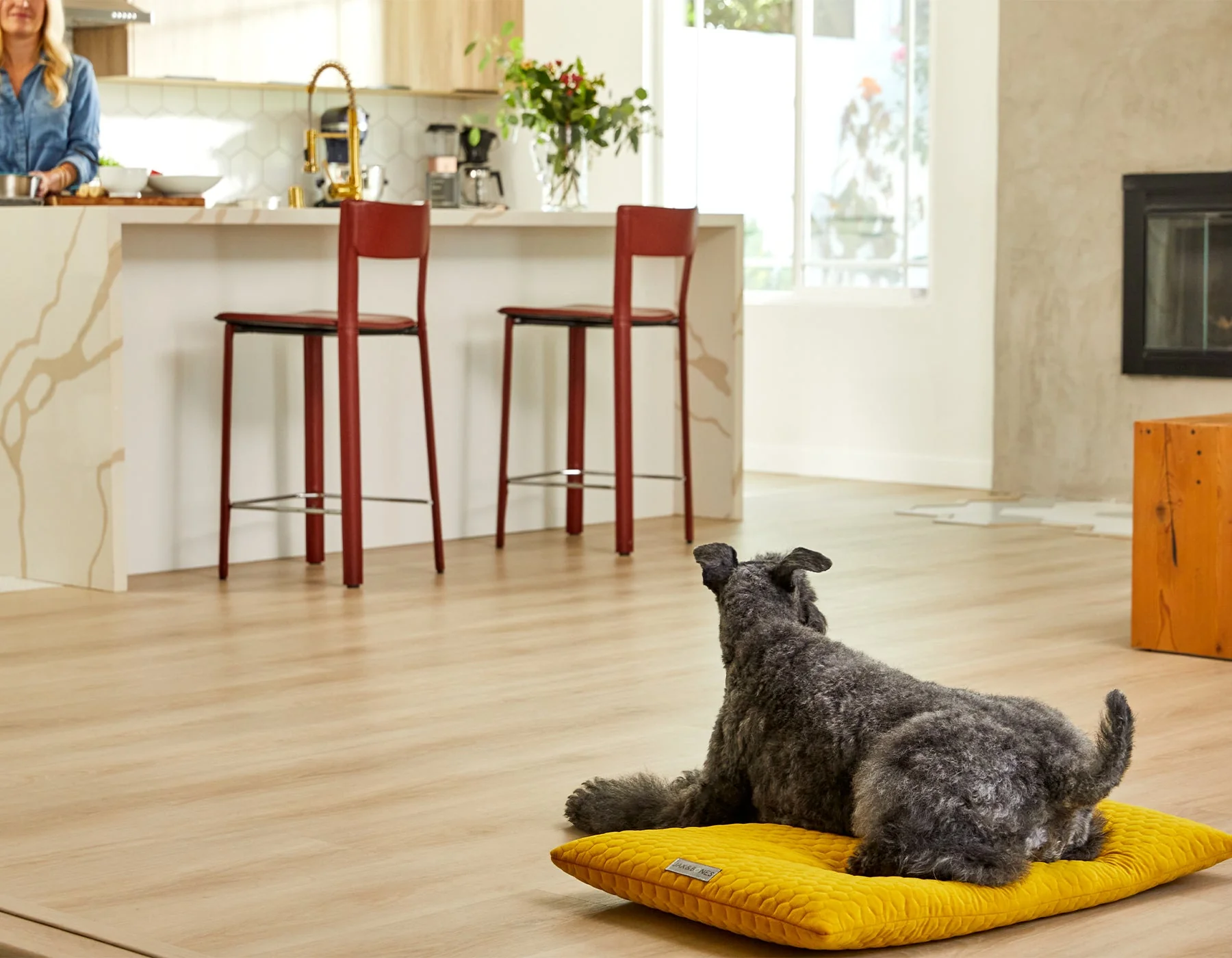 Jax & Bones Bumble Chartreuse Cozy Mat Beds - Image 3