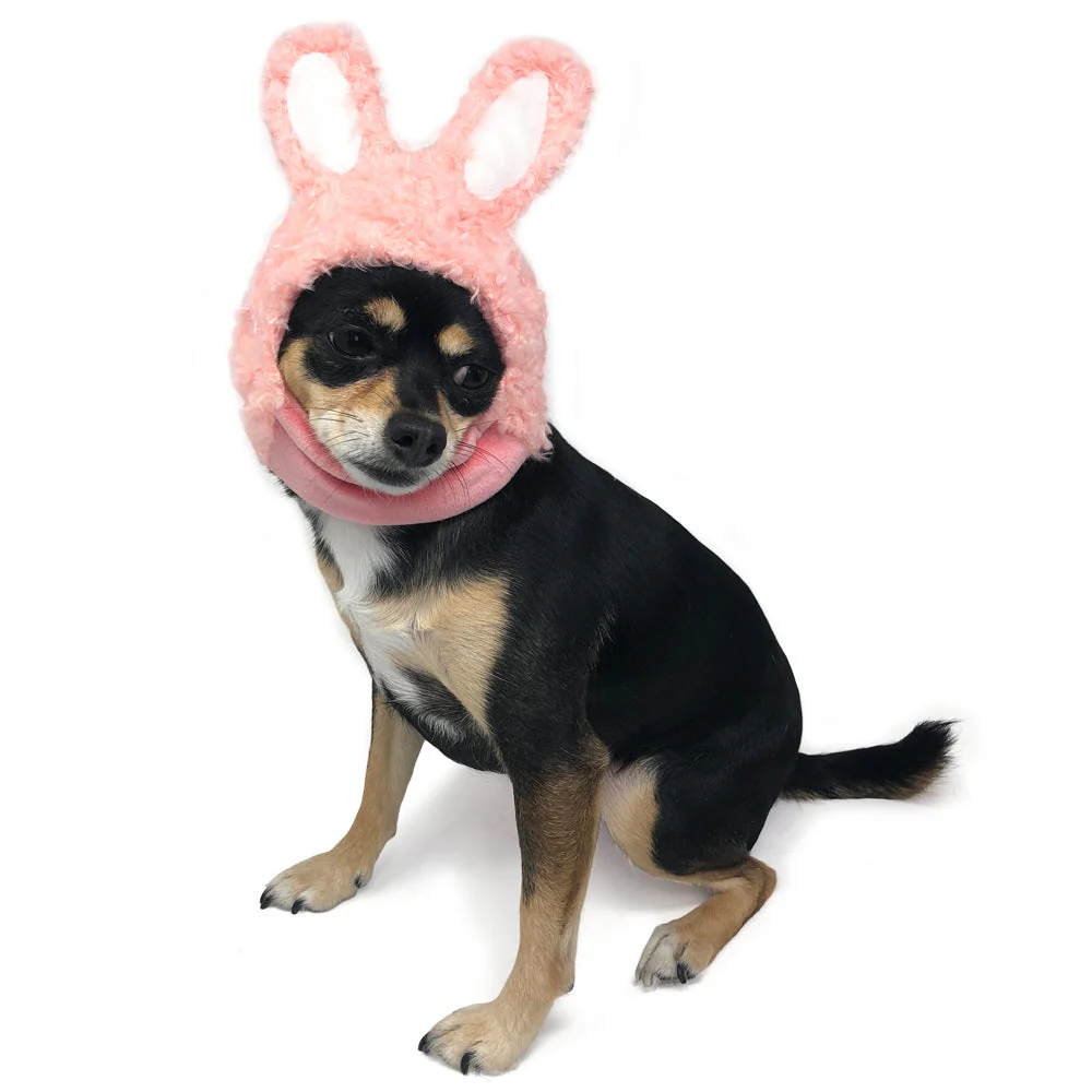 Bunny Hat - Image 4