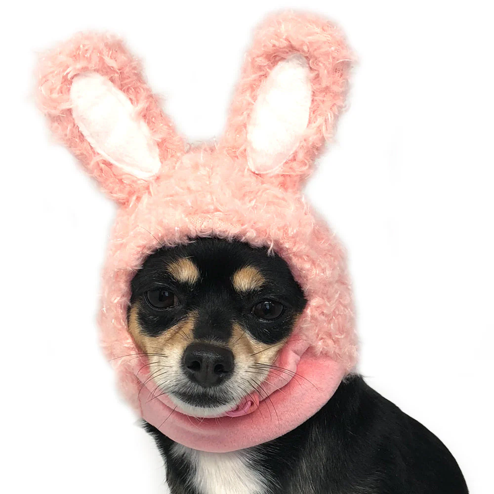 Bunny Hat - Image 7