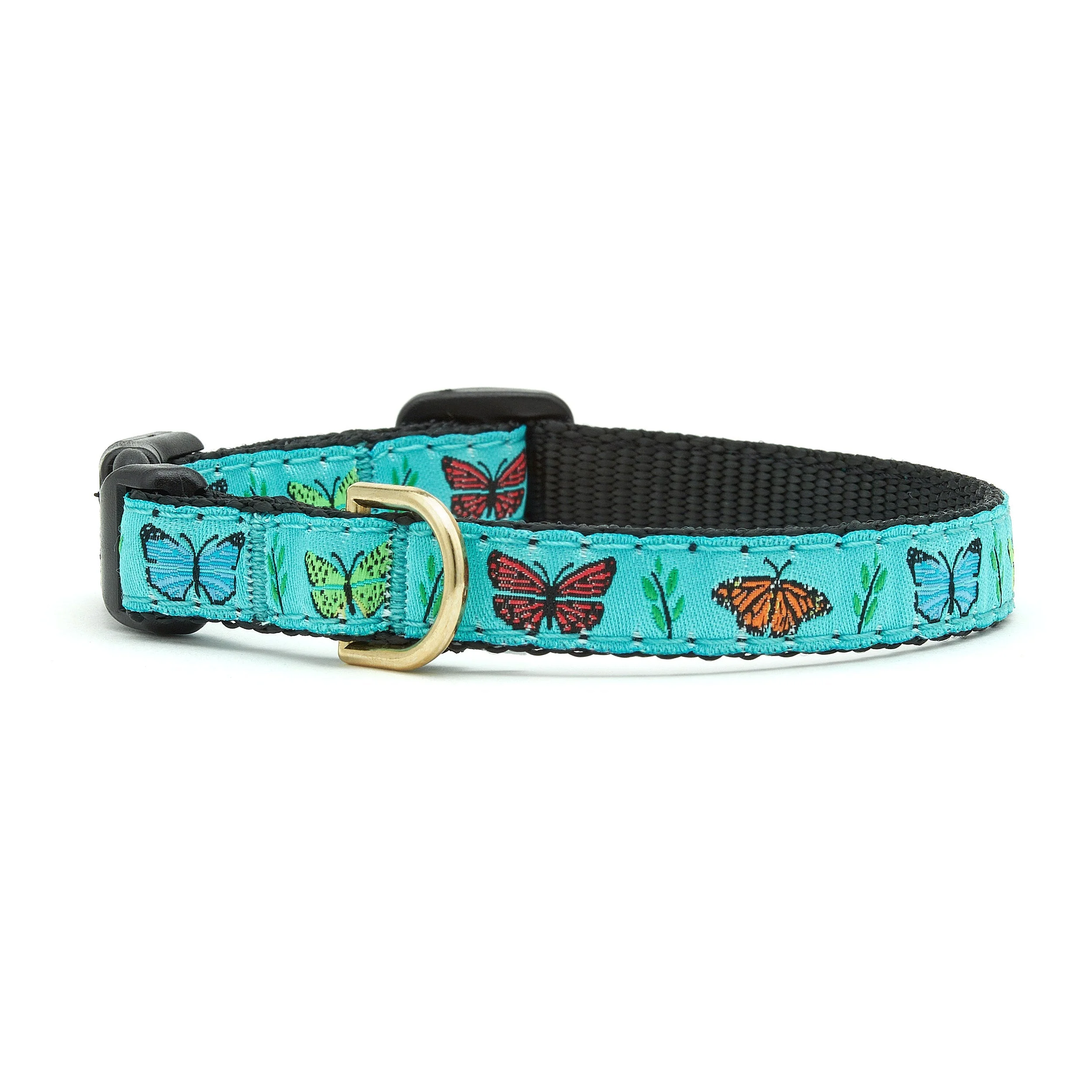 Up Country Butterfly Effect Made in USA Dog Collar