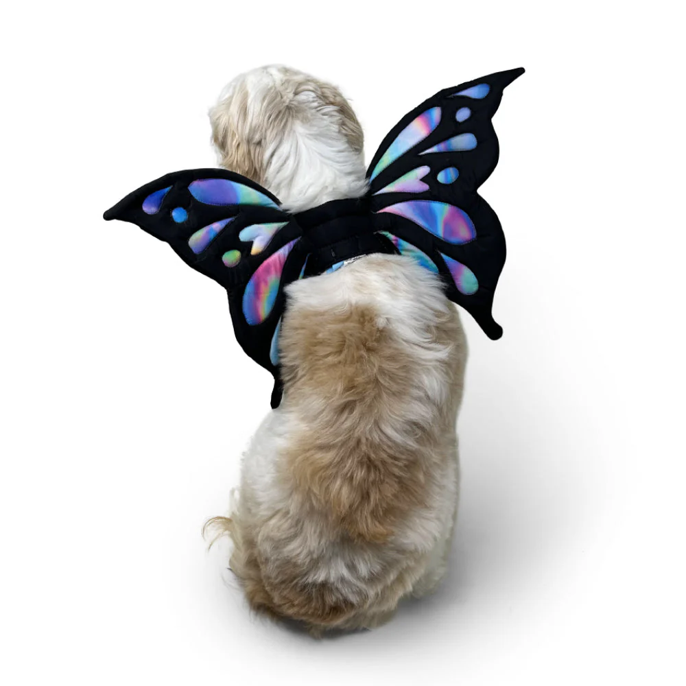 Butterfly Wing - Image 3
